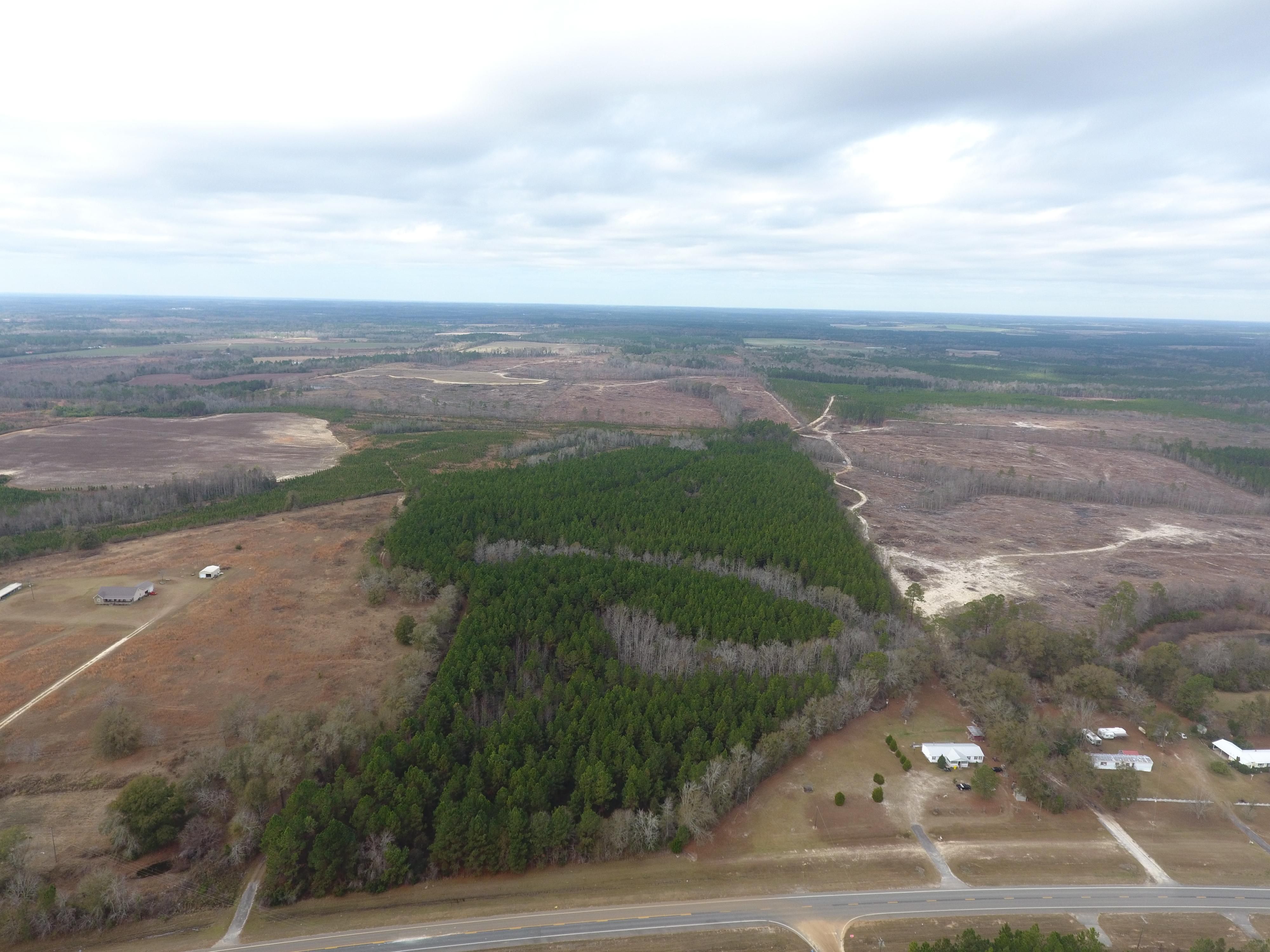 47.41 acres in Telfair County,