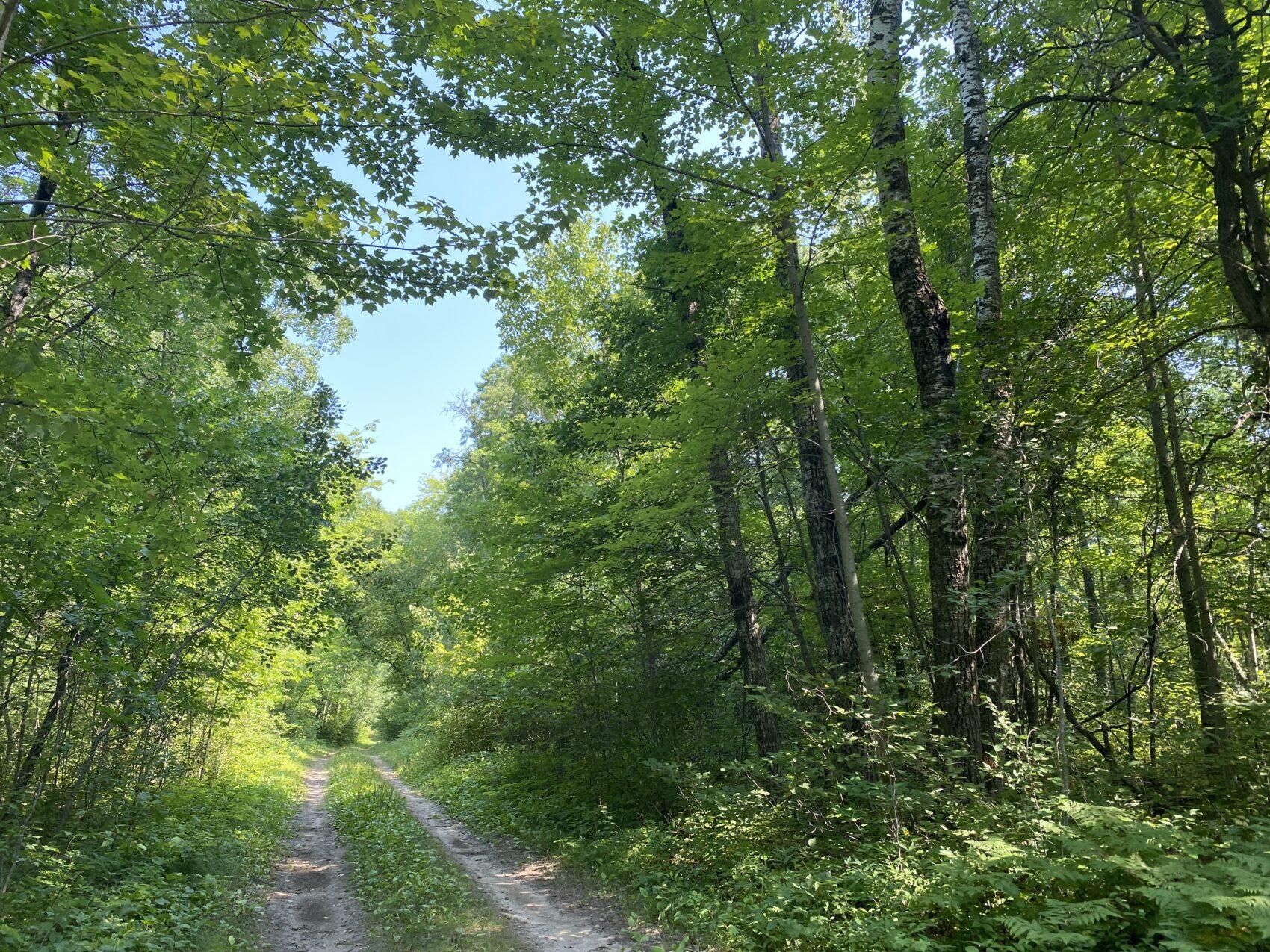 2.28 acres in Crow Wing County, Minnesota