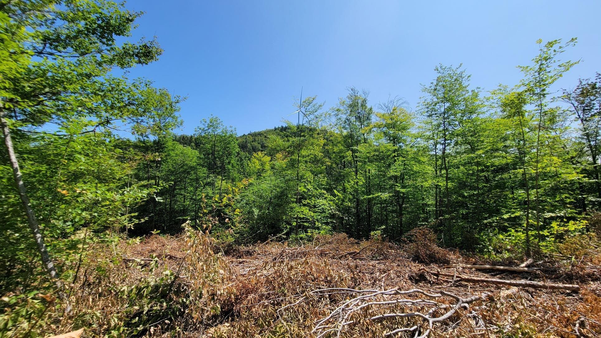 29 acres in Roxbury, ME,