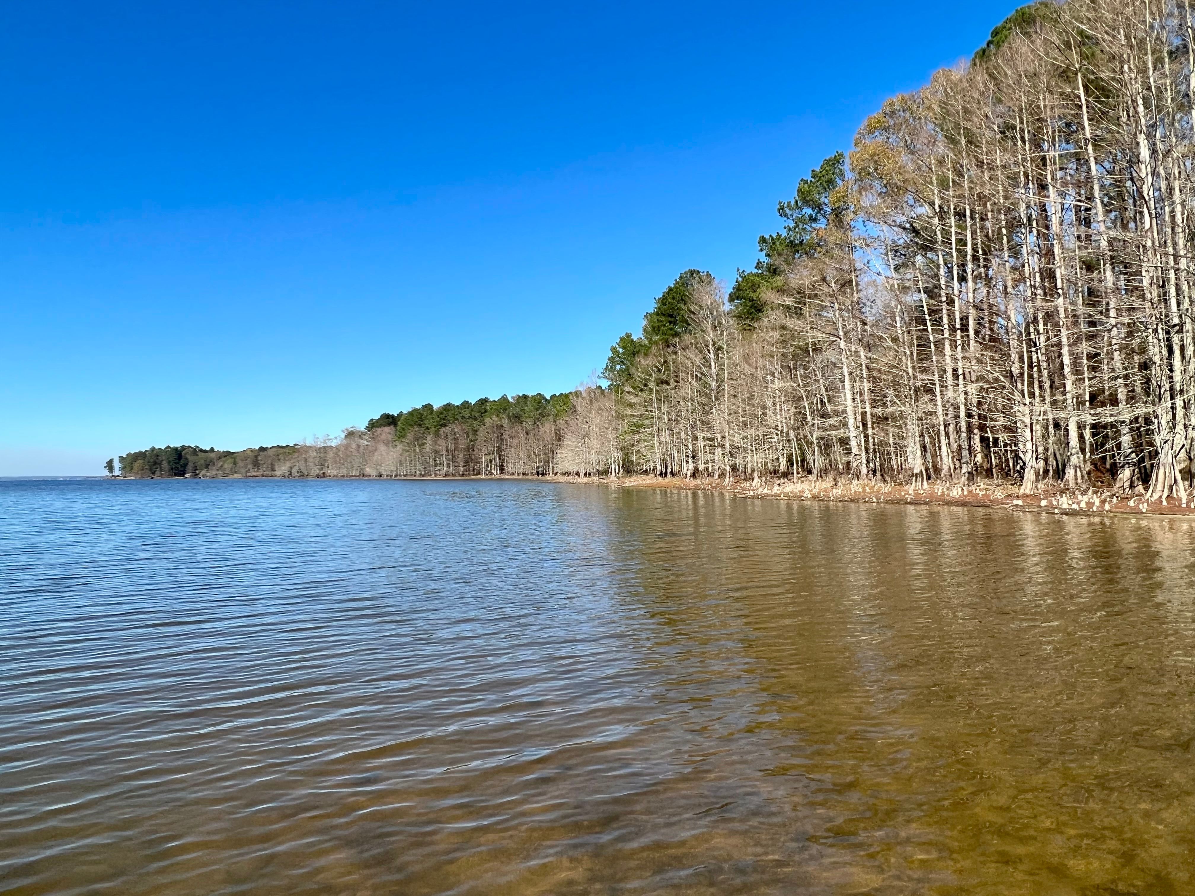 47.82 acres in Sabine Parish, Louisiana