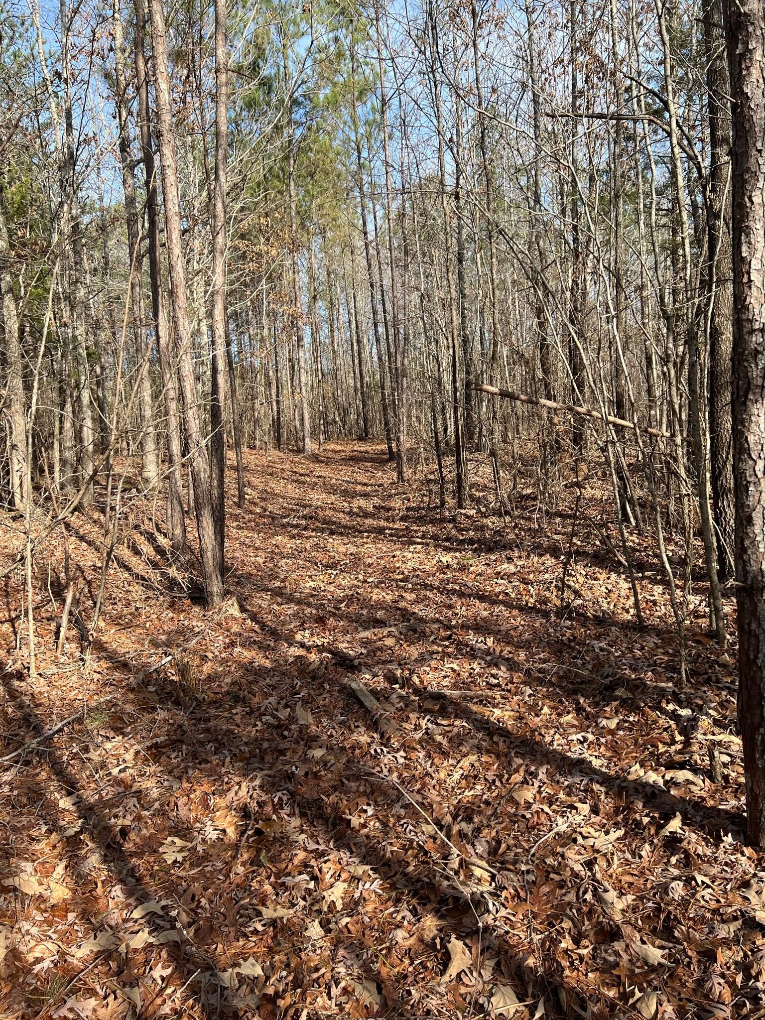 Higdon Rd, Holly Springs, MS 38634