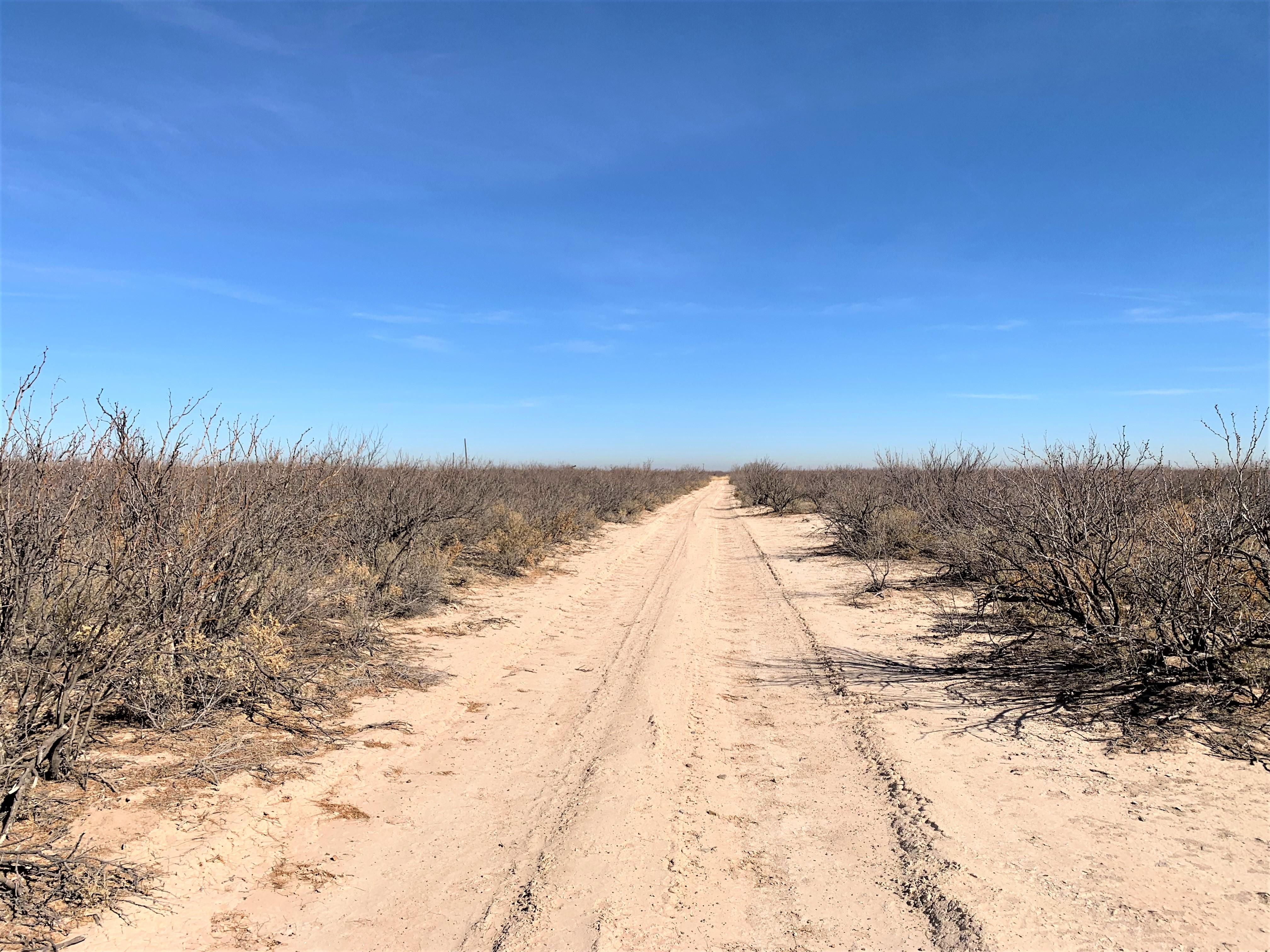 1,500 acres in Pecos County, Texas