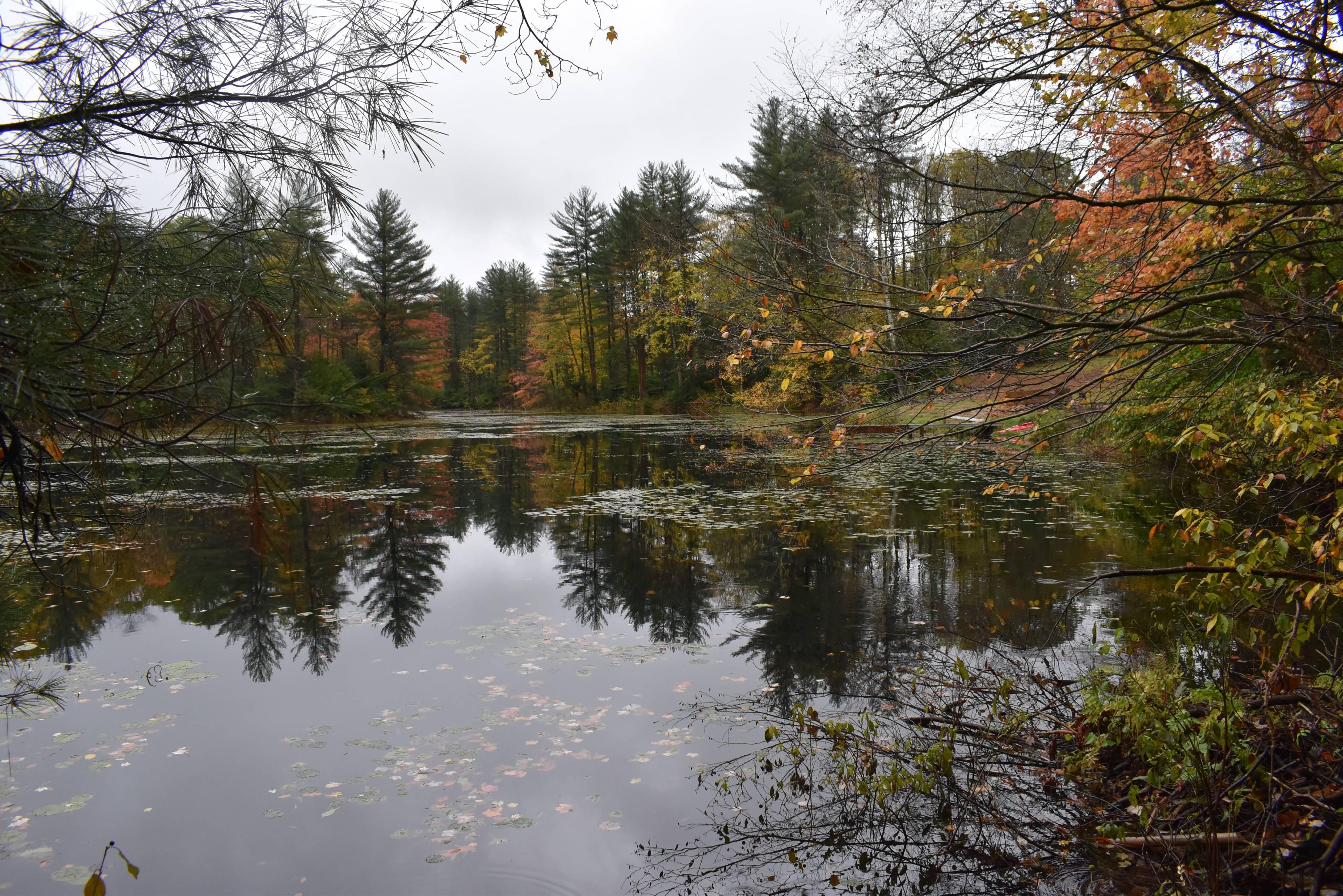 State Route 13 and Smokey Road, Altmar, NY 14411