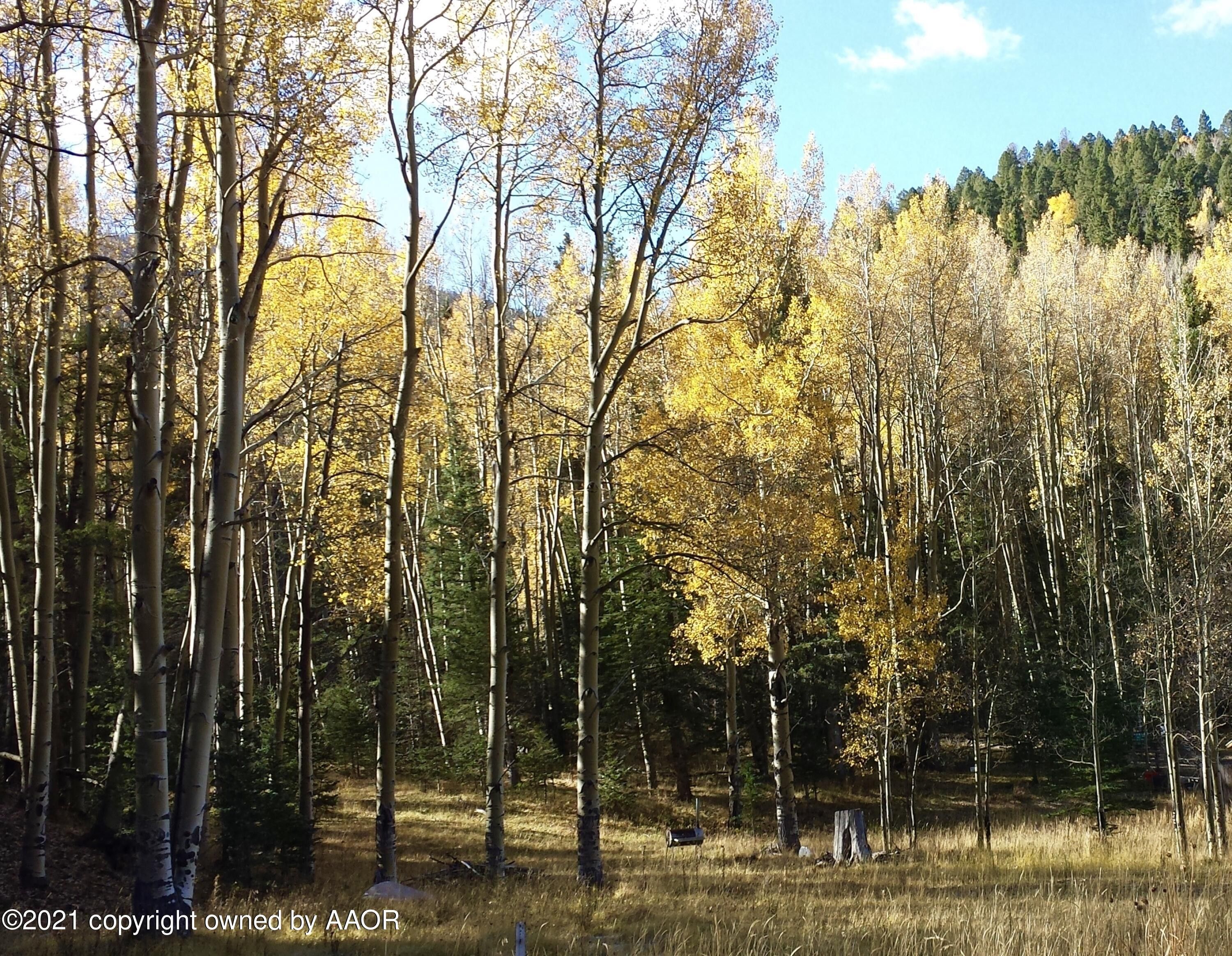 0.65 acres in Taos County, New Mexico