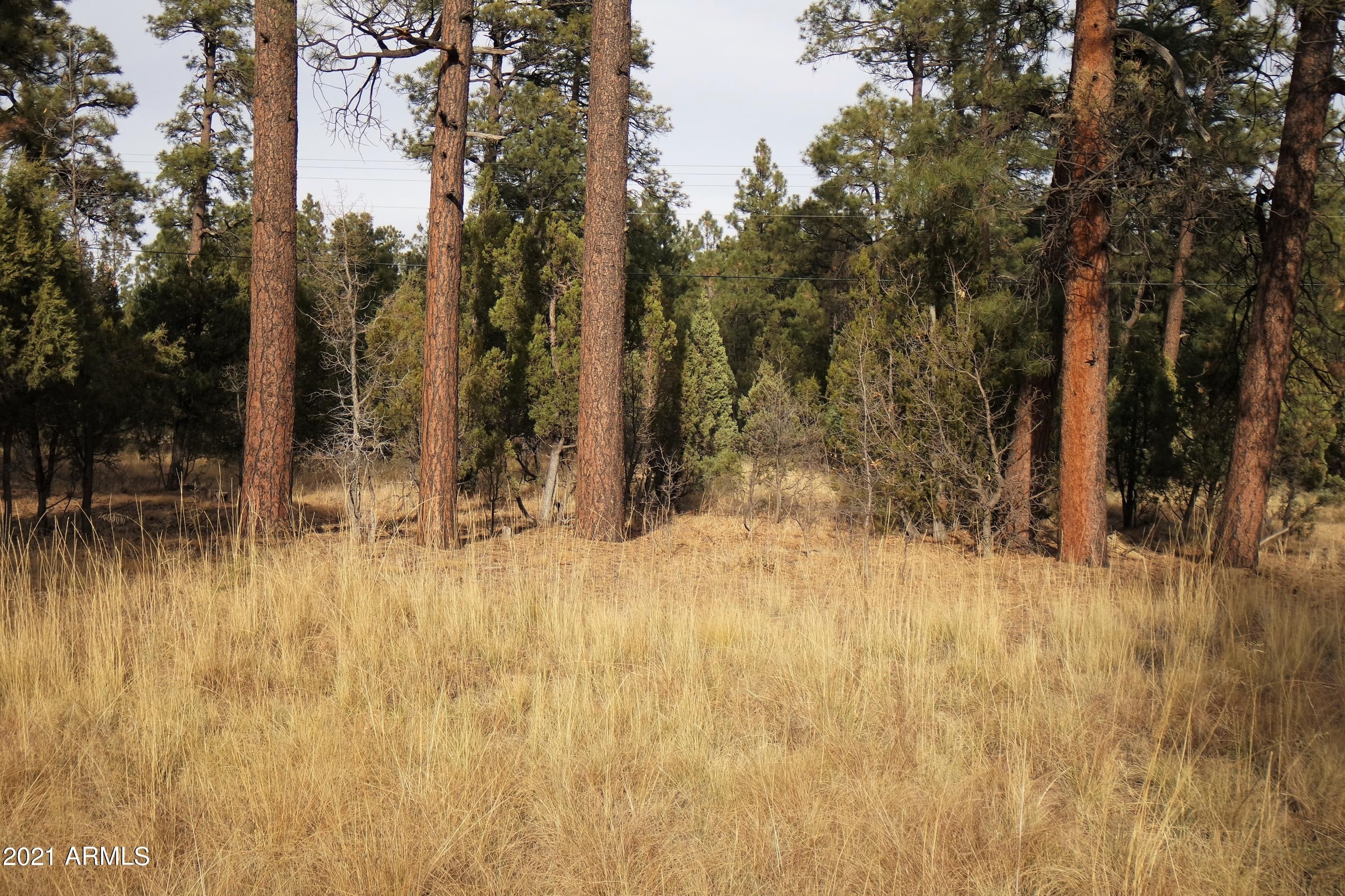 4 acres in Navajo County, Arizona