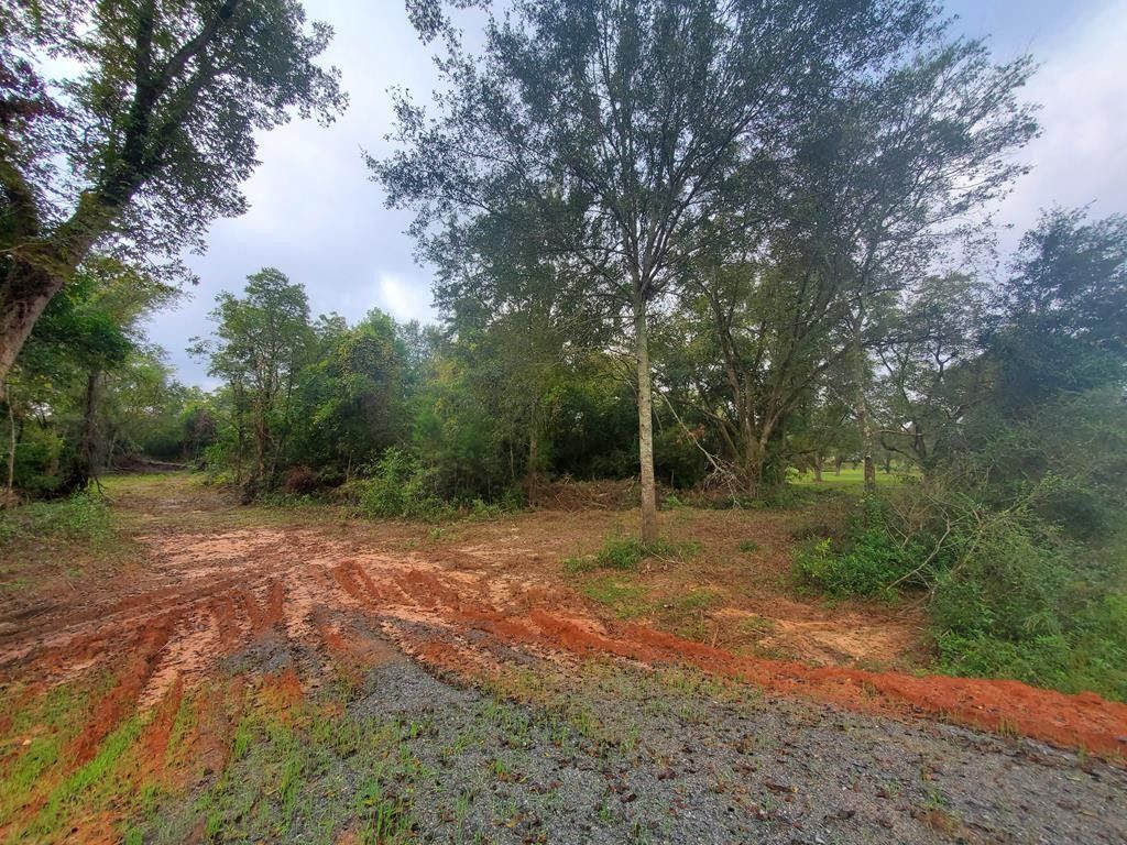 3 acres in Terrell County,