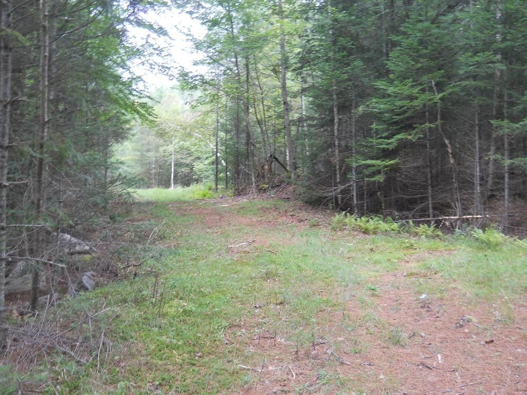1.1 acres in Hamilton County, New York