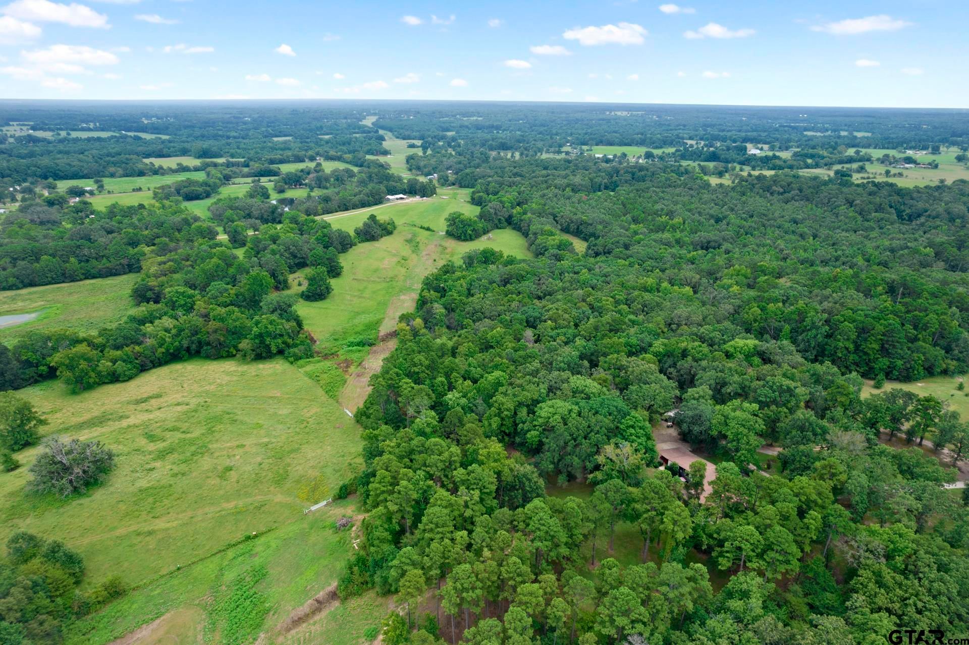 35.76 acres in Titus County, Texas