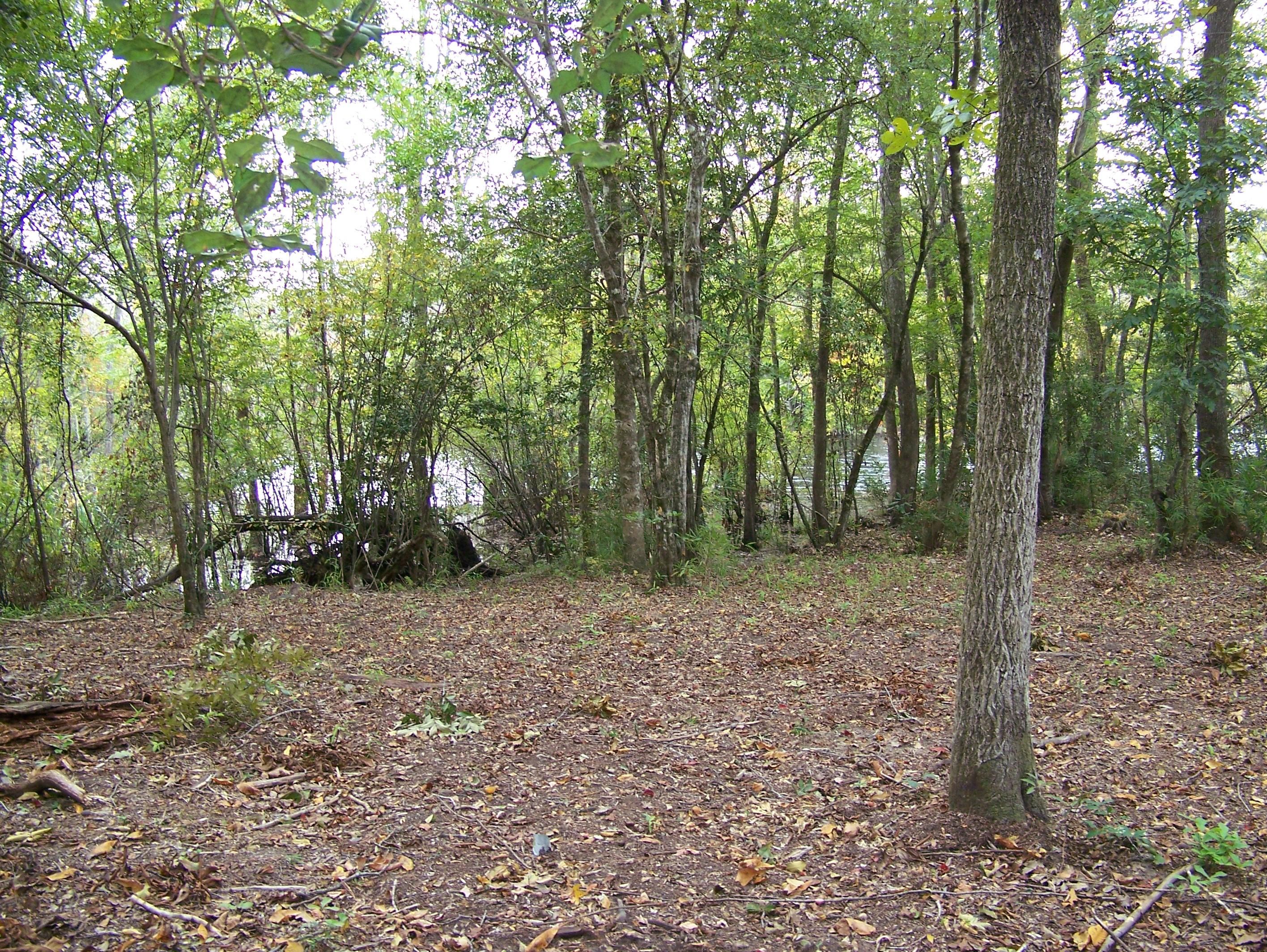 2.47 acres in Pender County, North Carolina