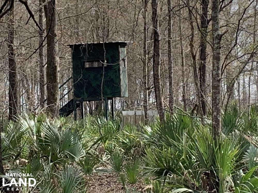 44.18 acres in Tensas Parish, Louisiana