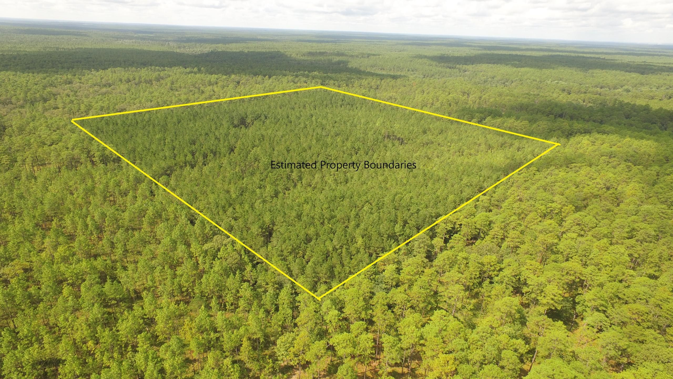 39 acres in Escambia County, Alabama