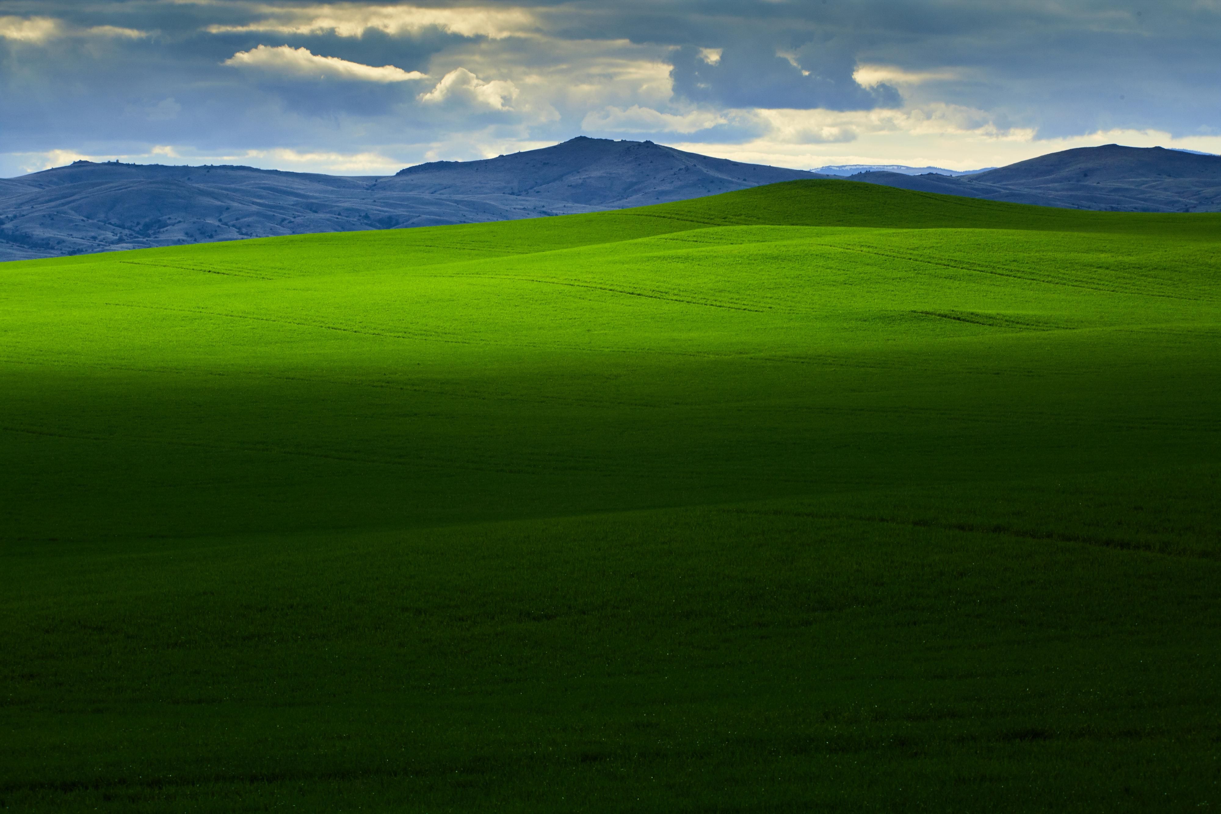 Shoddy Springs Road, Cardwell, MT 59721 MLS 366511