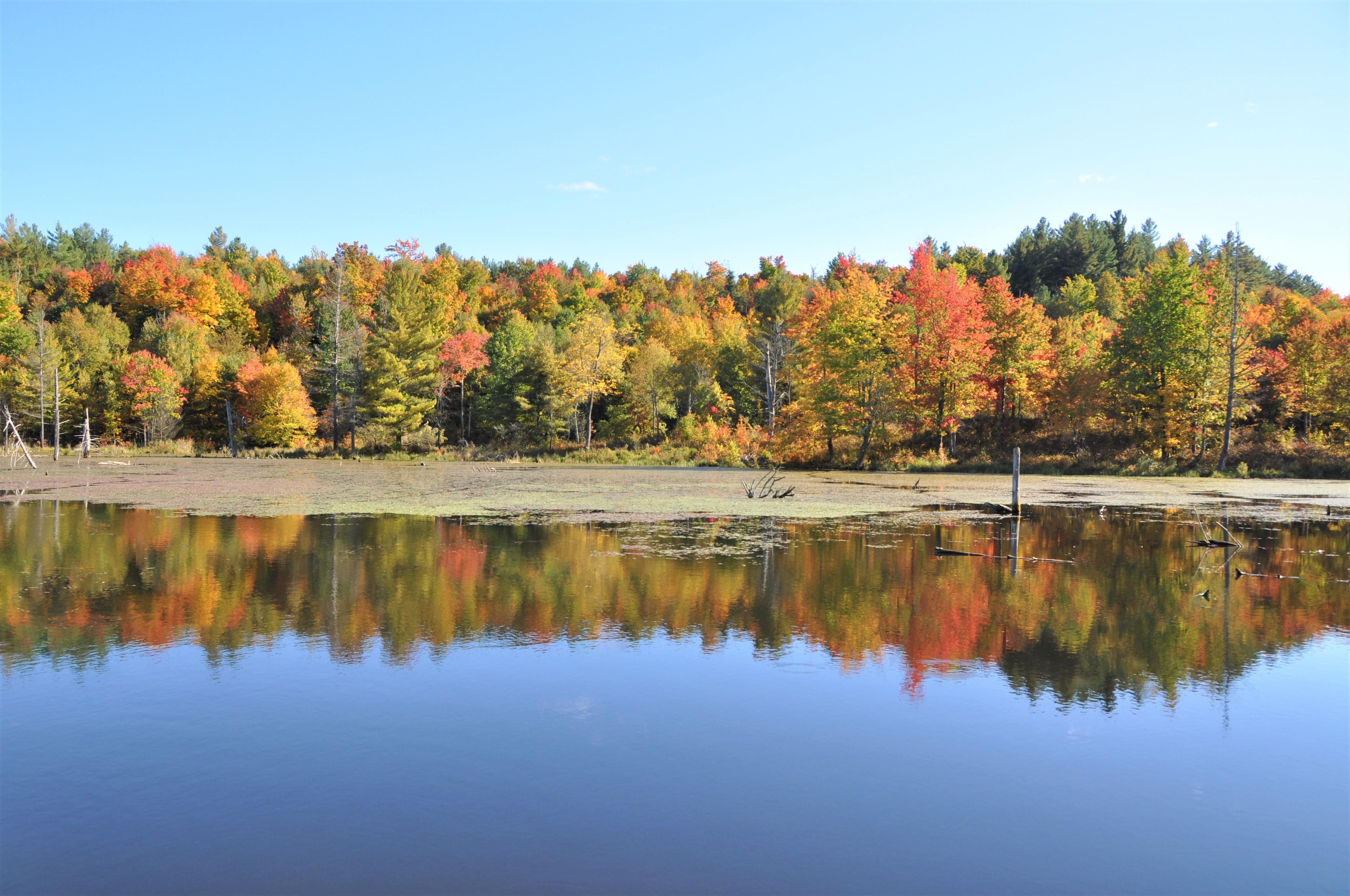 21.23 acres in Saint Lawrence County, New York