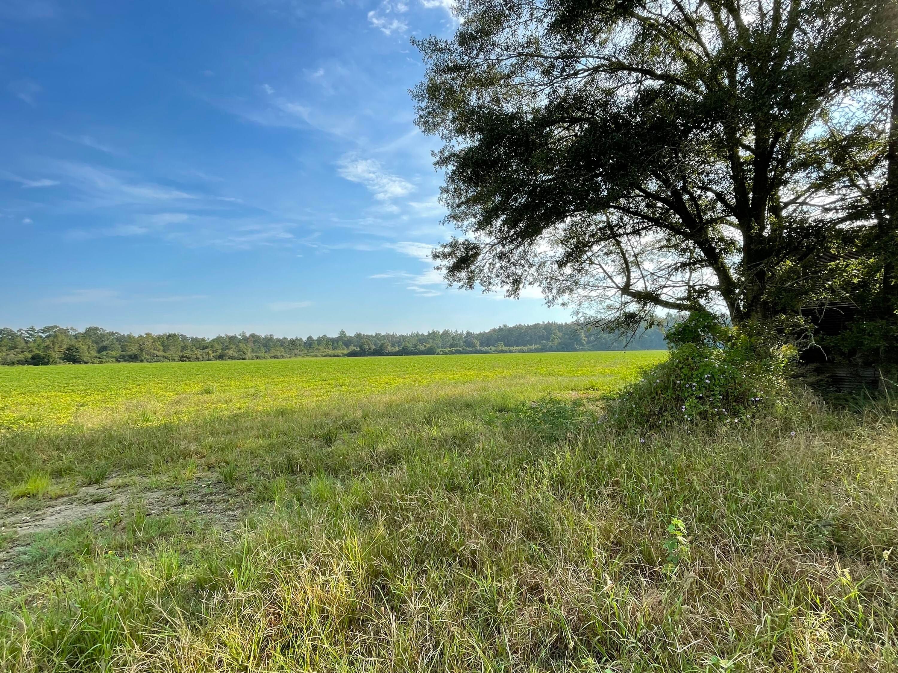13 acres in Okaloosa County, Florida
