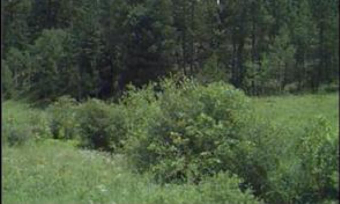 1 acres in Teller County, Colorado