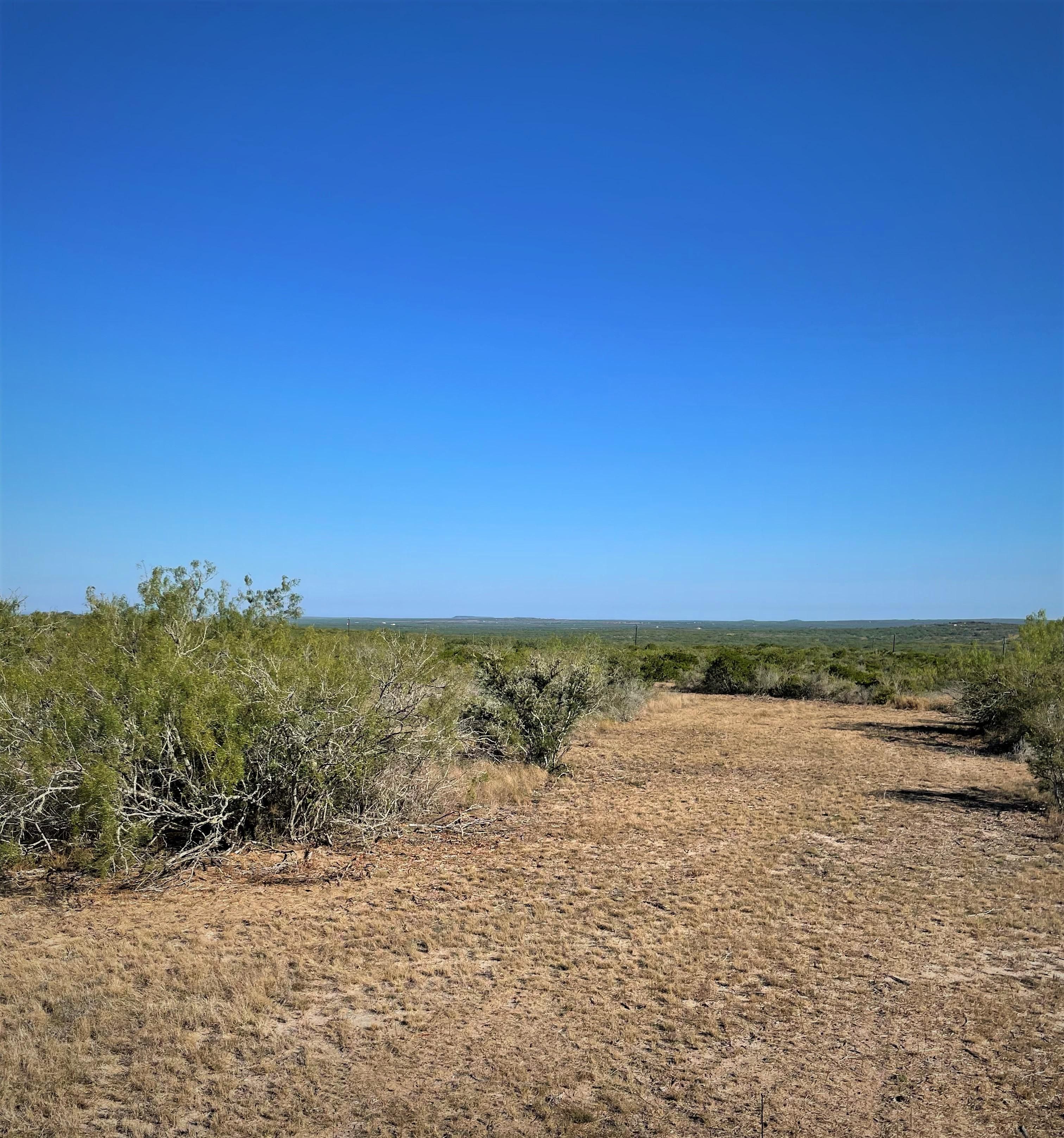 80 acres in Duval County, Texas