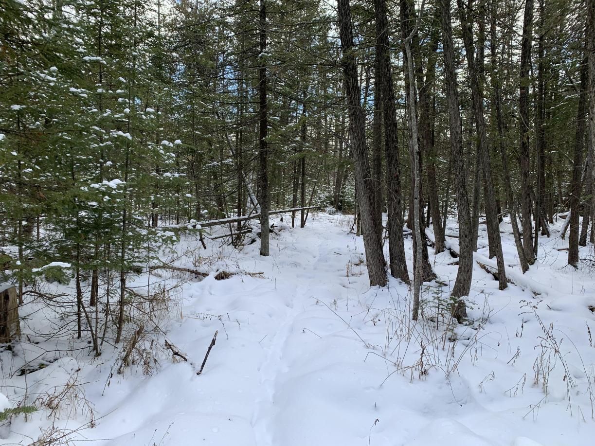 40 acres in Isabella County, Michigan