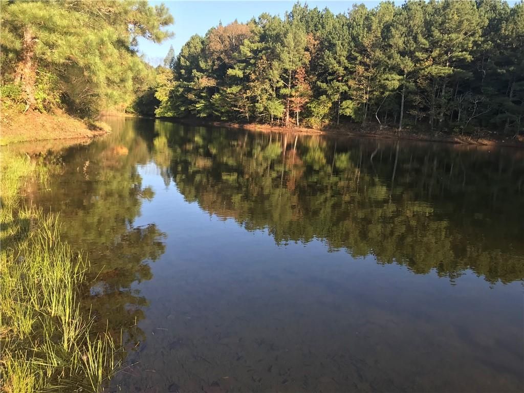 68.16 acres in Chattooga County,