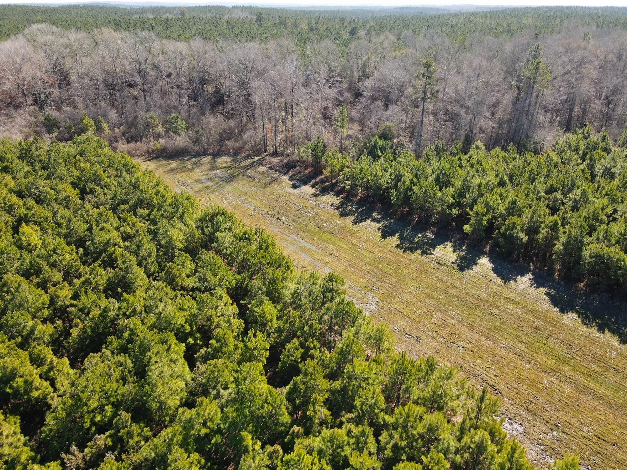 490 acres in Russell County, Alabama