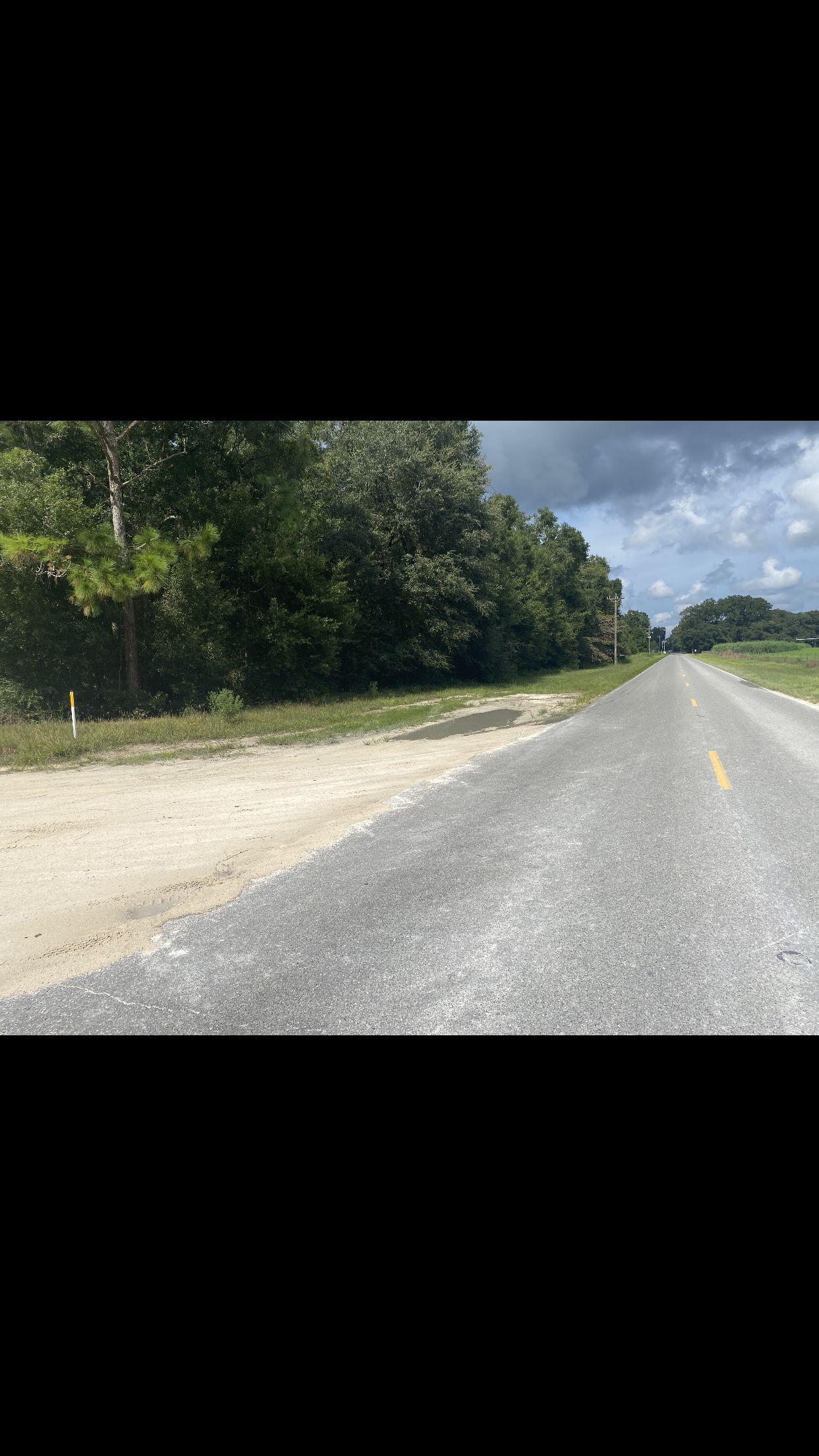 86 acres in Bell, FL, 32619