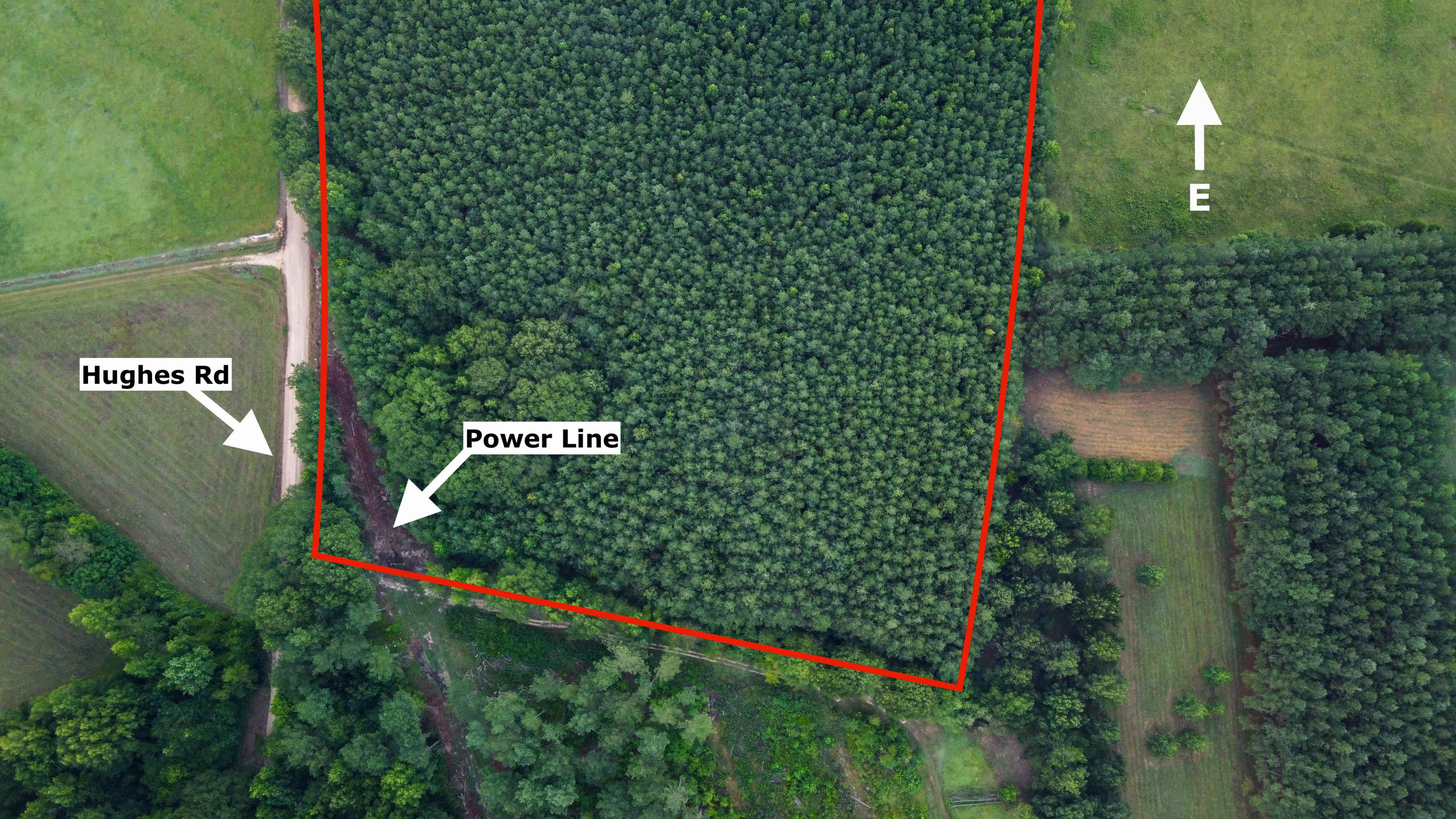 49 acres in Tuscaloosa County, Alabama