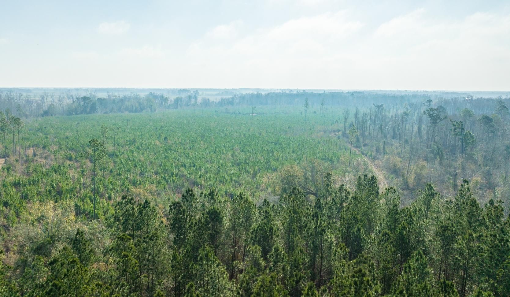 235 acres in Early County,