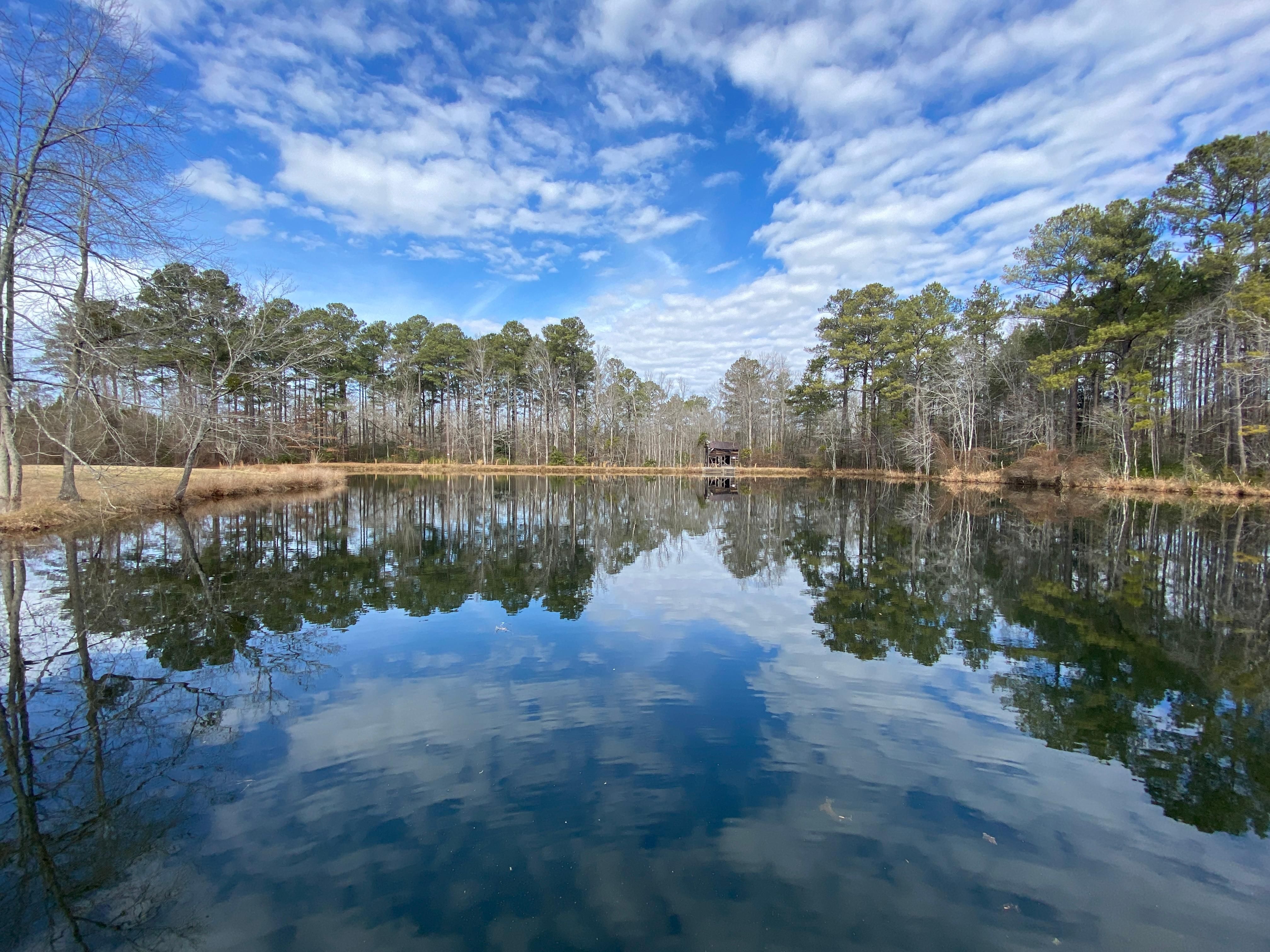 Gator Road, Gaston, SC 29053 | Land.com