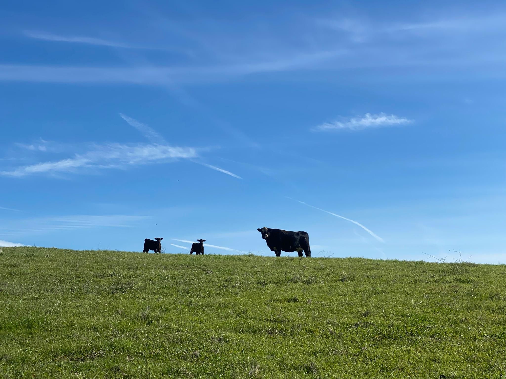 1,412 acres in San Benito County, California