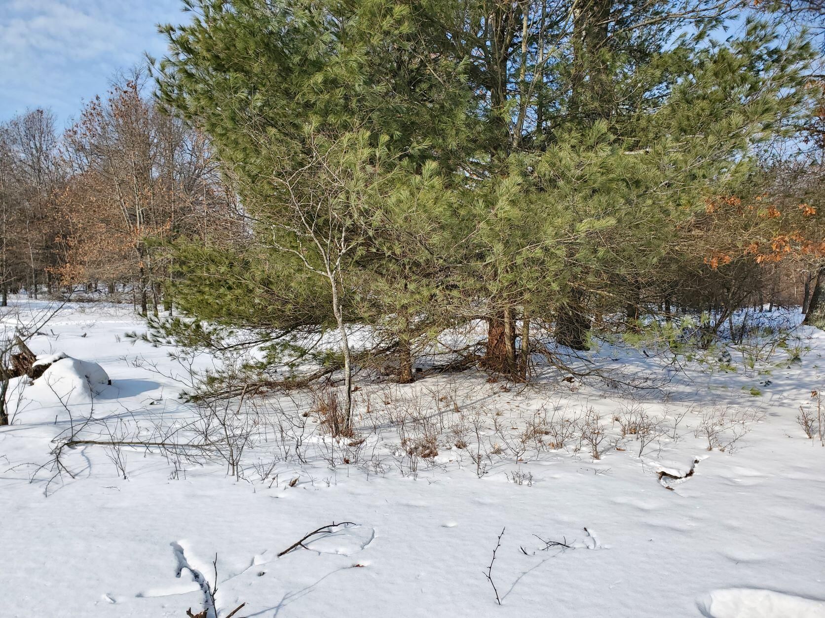 20 acres in Lake County, Michigan
