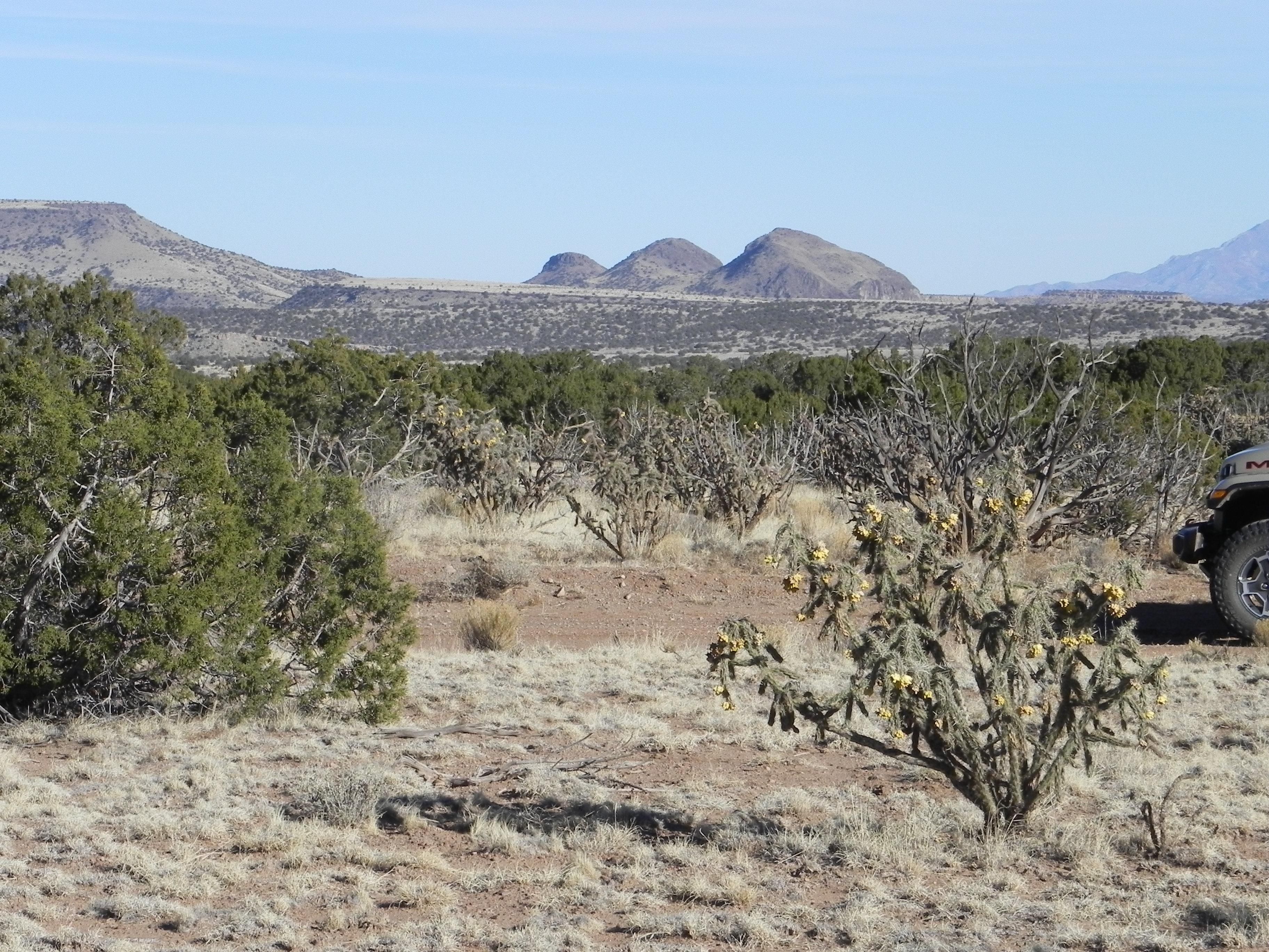 160 acres in Socorro County, New Mexico