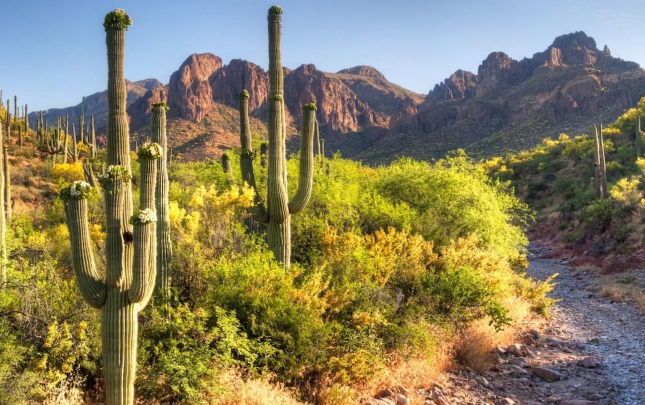 40 acres in Pinal County, Arizona