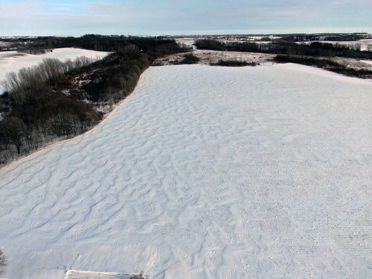 40 acres in Goodhue County, Minnesota