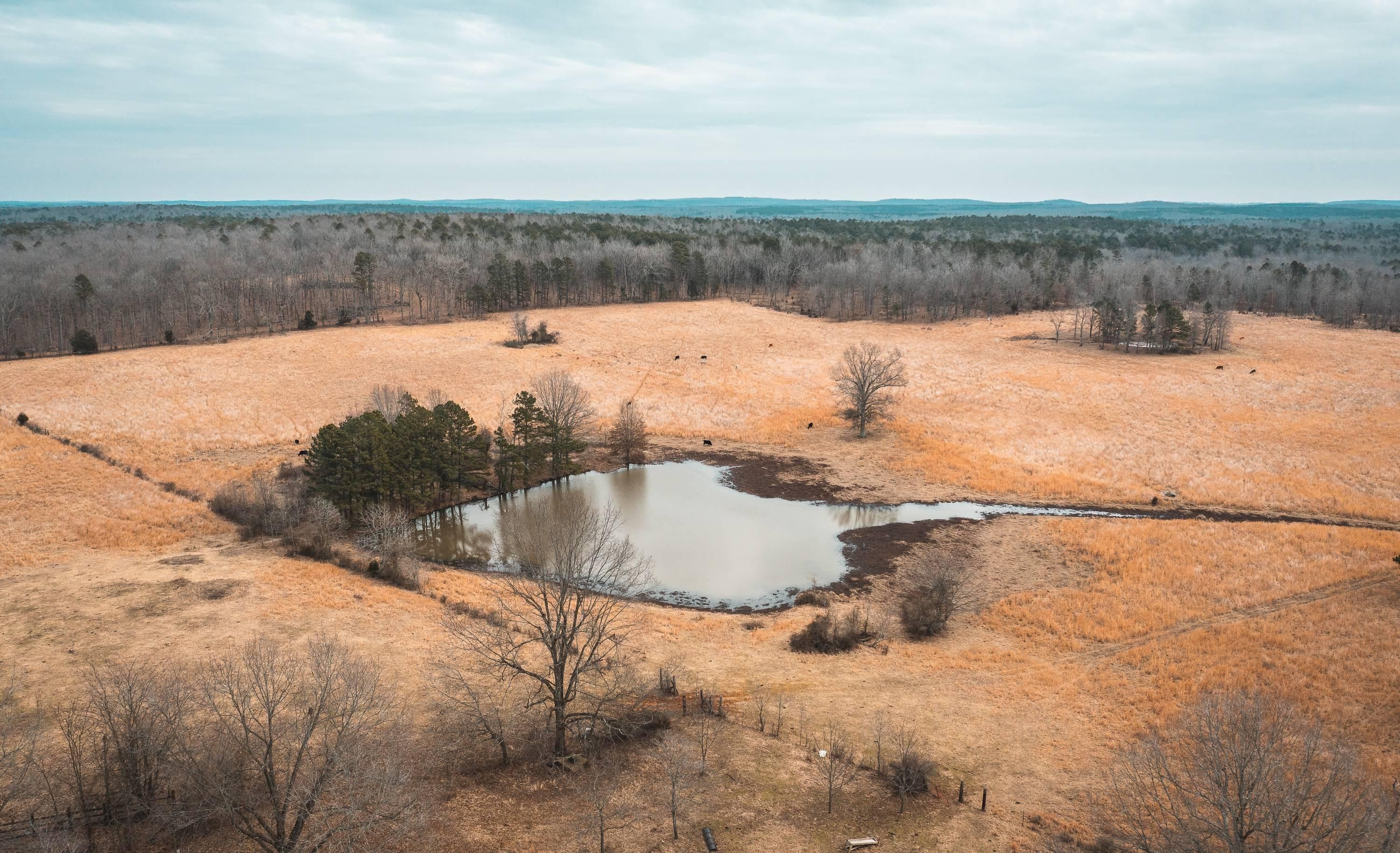 80 acres in Ripley County, Missouri