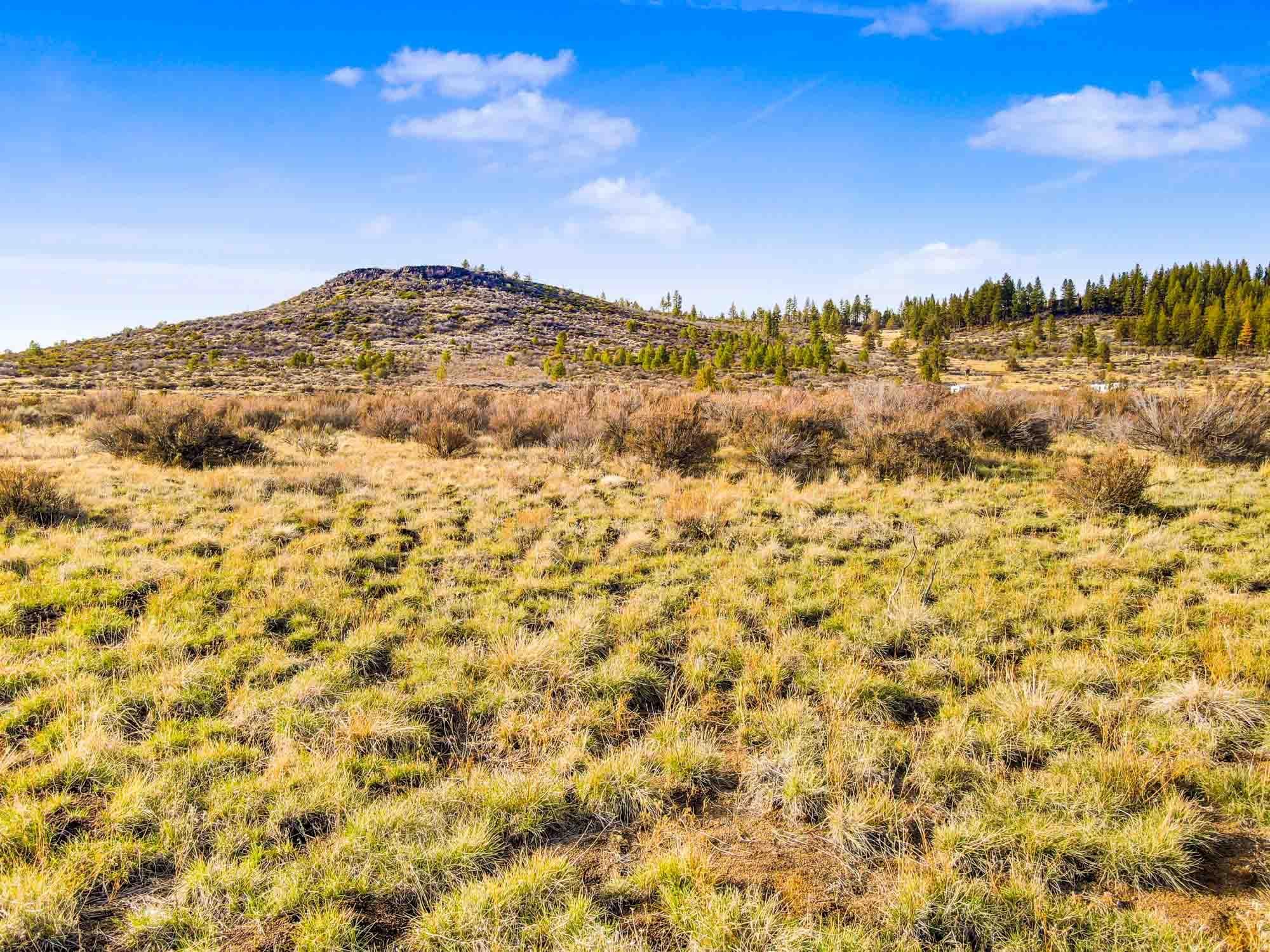 1.6 acres in Klamath County, Oregon