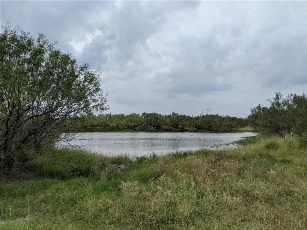 768.81 acres in Zavala County, Texas
