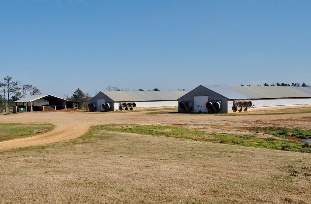 49 acres in Neshoba County, Mississippi