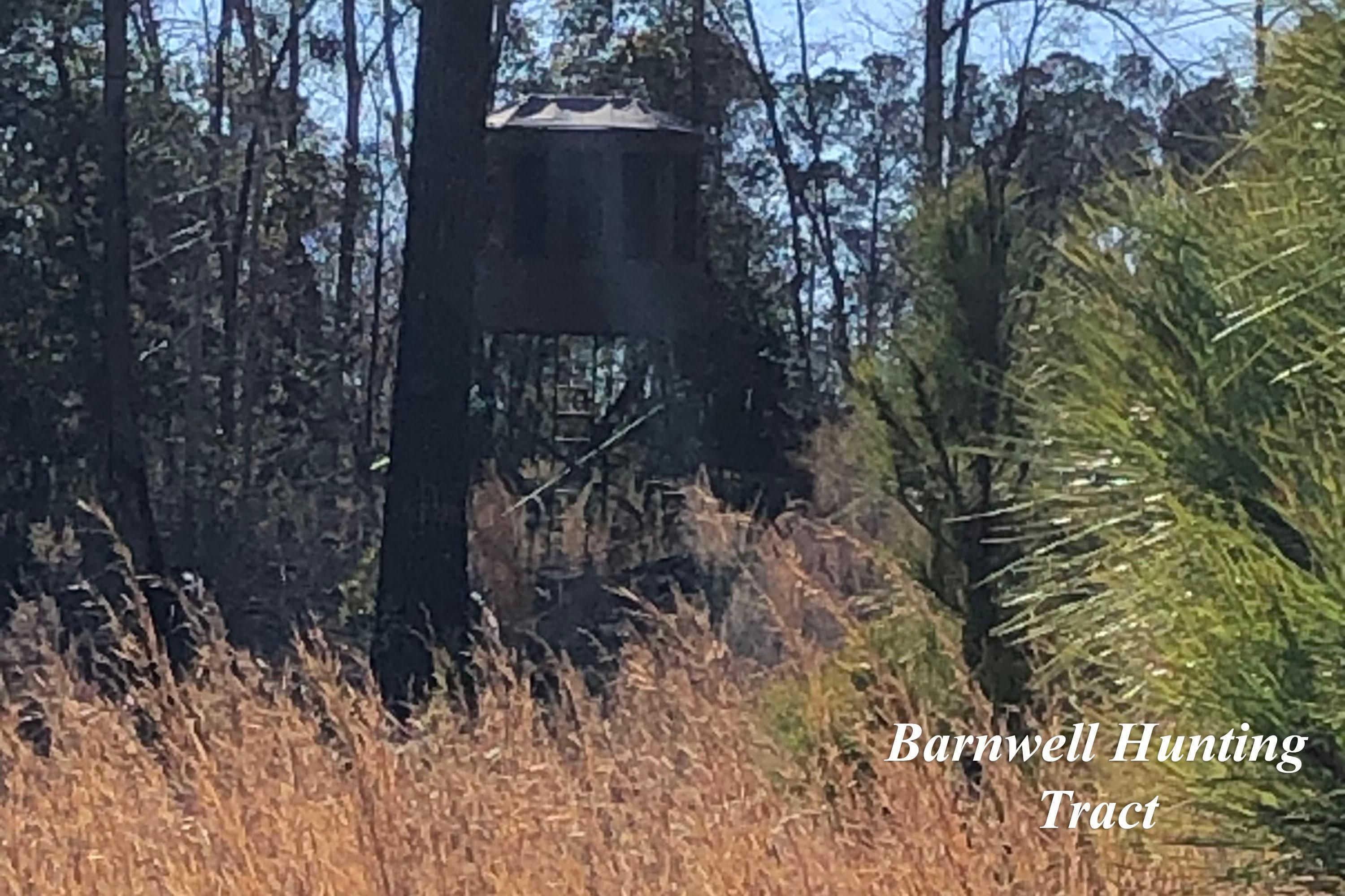 176.9 acres in Barnwell County, South Carolina