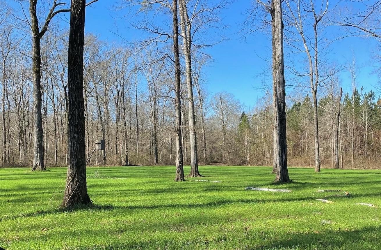 314 acres in Noxubee County, Mississippi