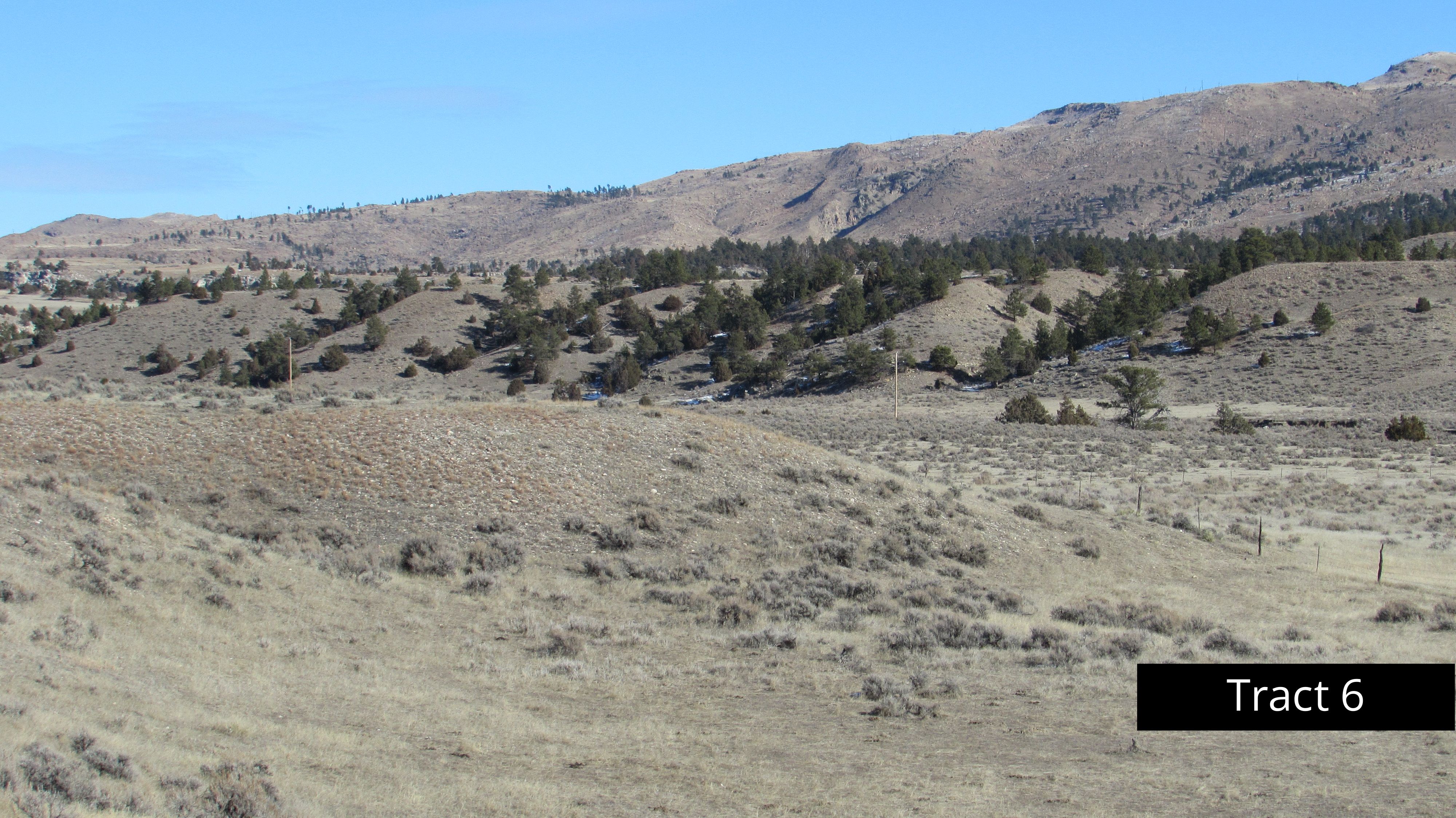 35.01 acres in Newcastle, WY, 82701 MLS Tract 6 Wildwood Acres