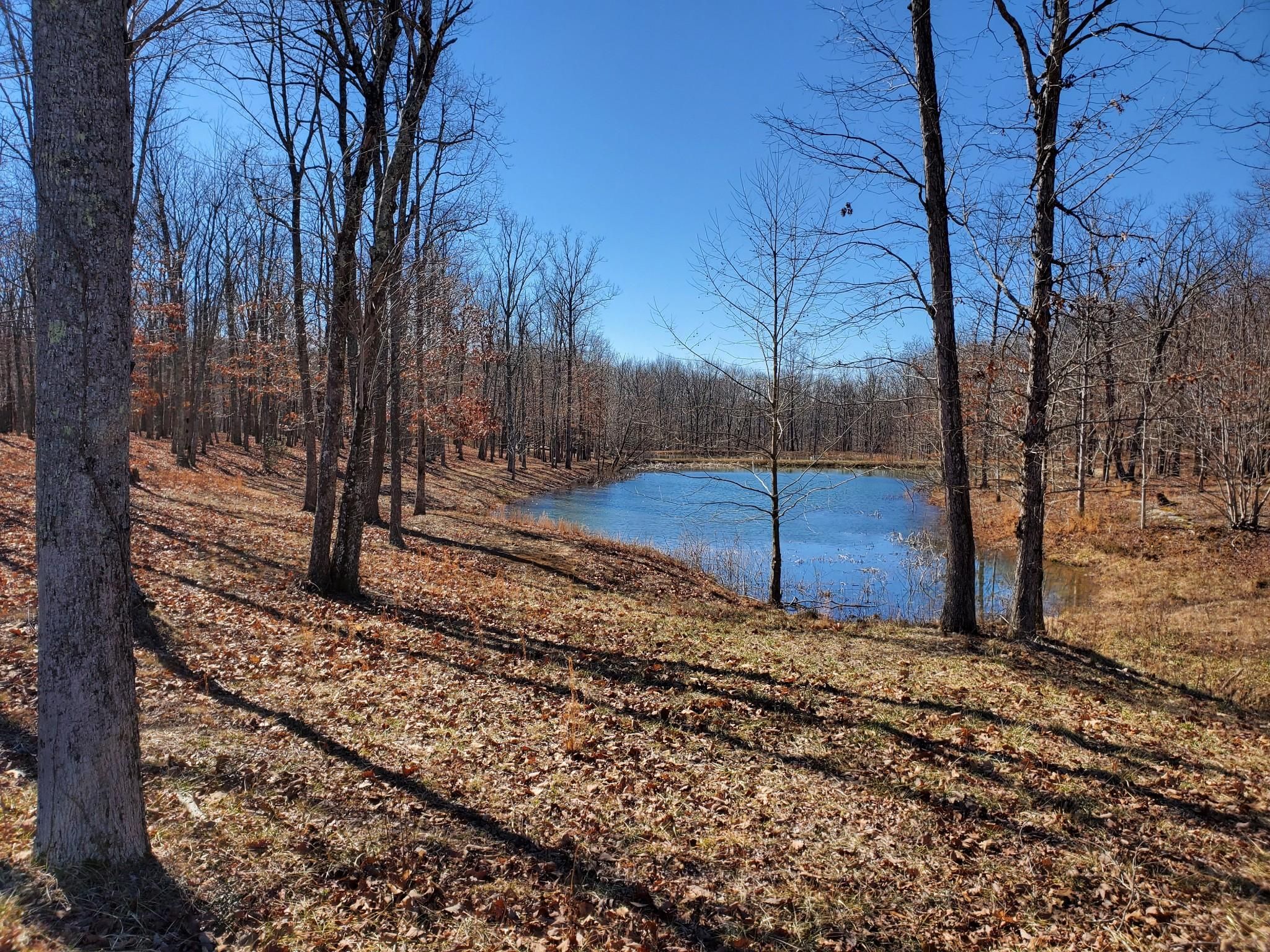 7.36 acres in Grundy County, Tennessee