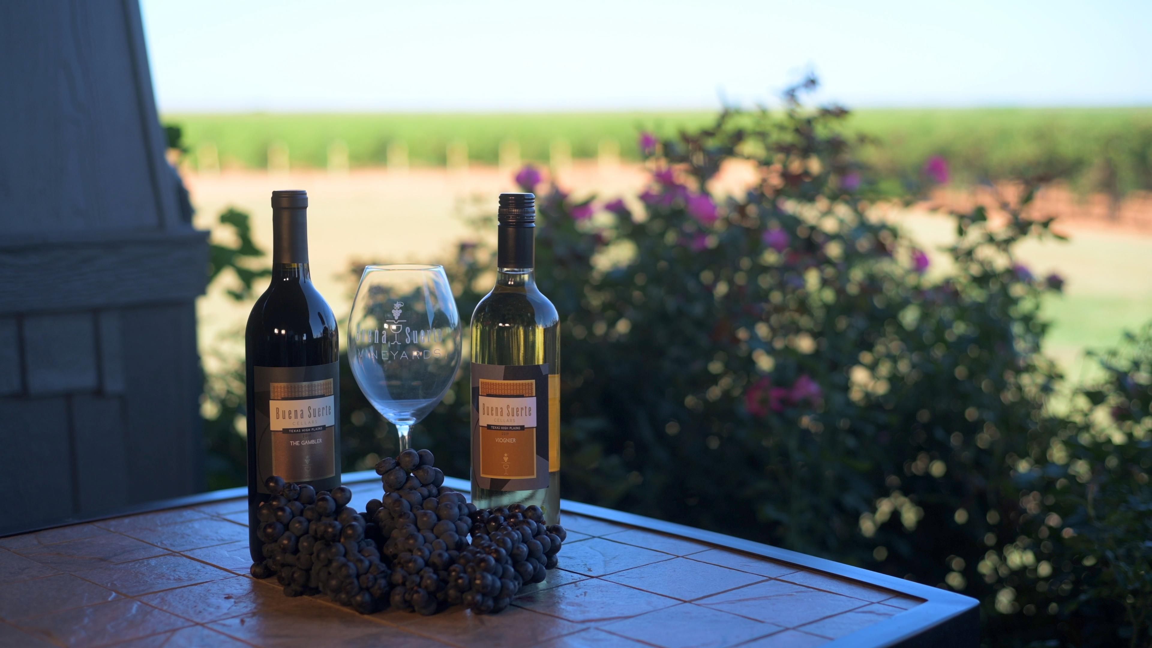 335 acres in Terry County, Texas