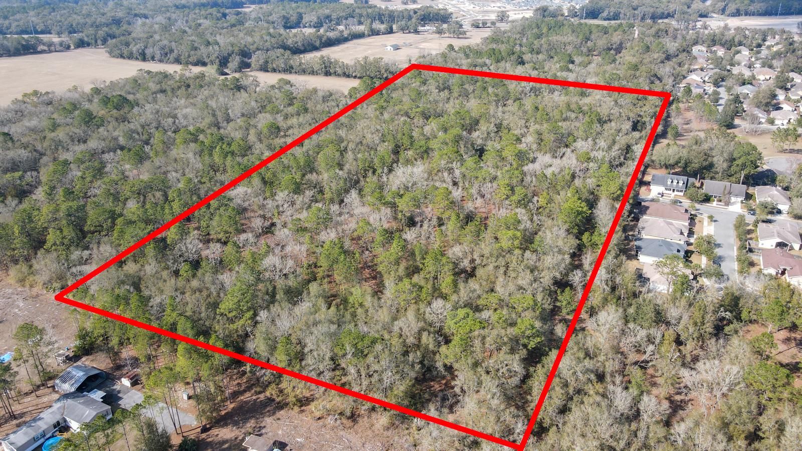 20 acres in Alachua County, Florida