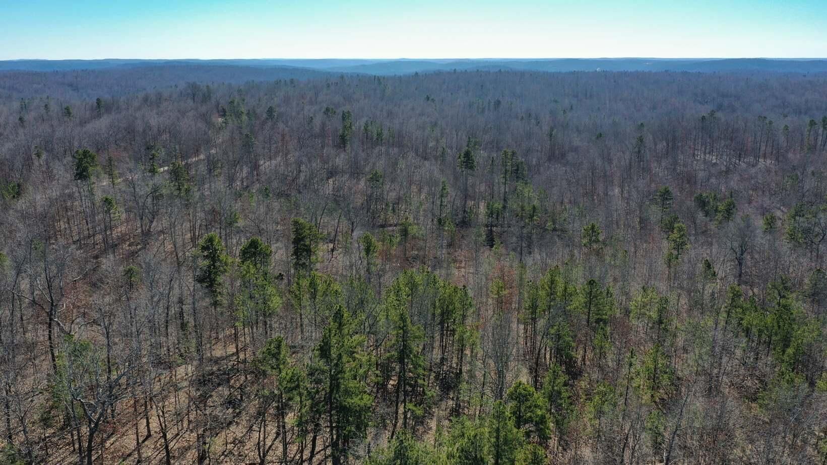 50 acres in Shannon County, Missouri