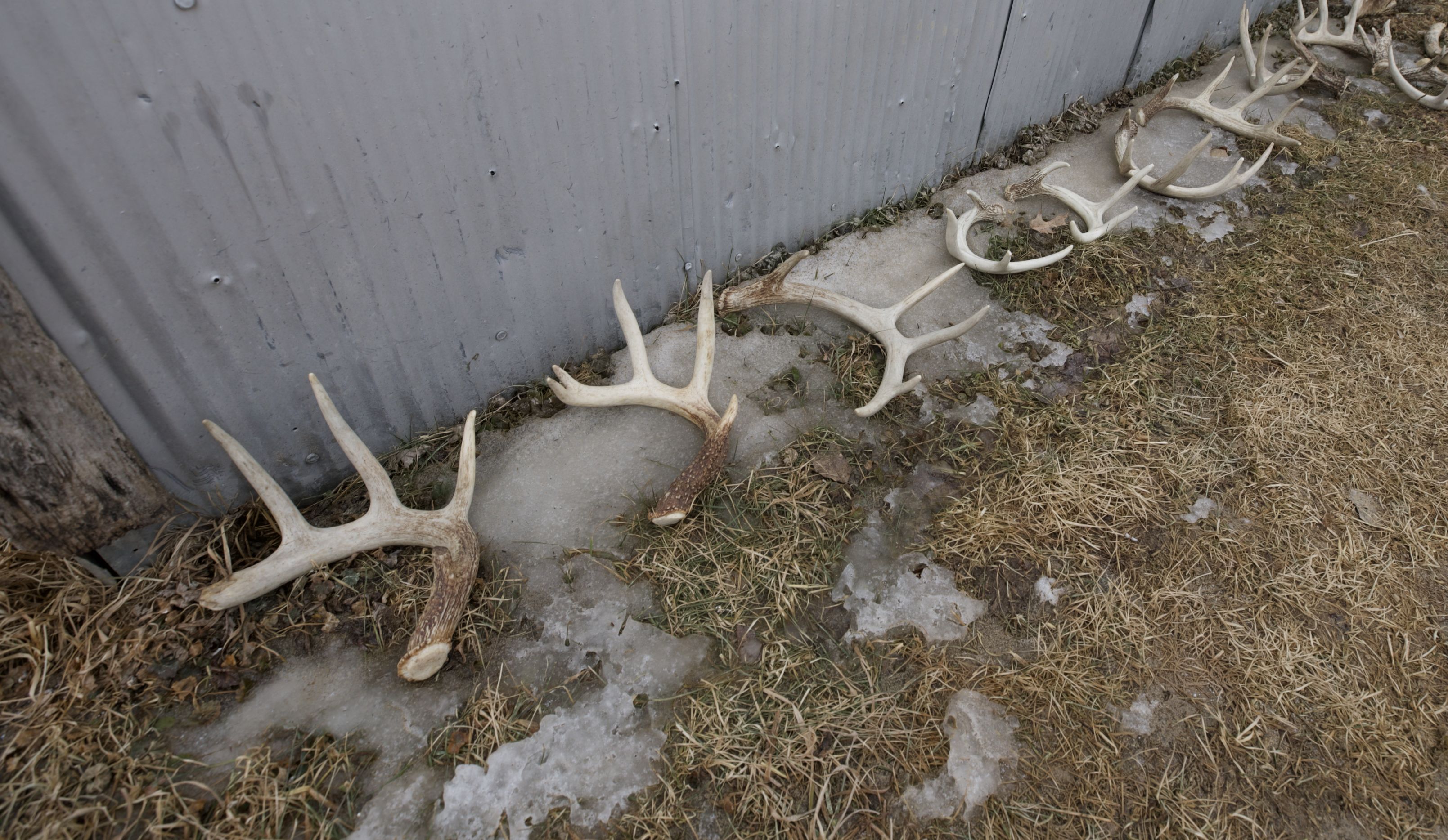 40 acres in Clark County, Wisconsin