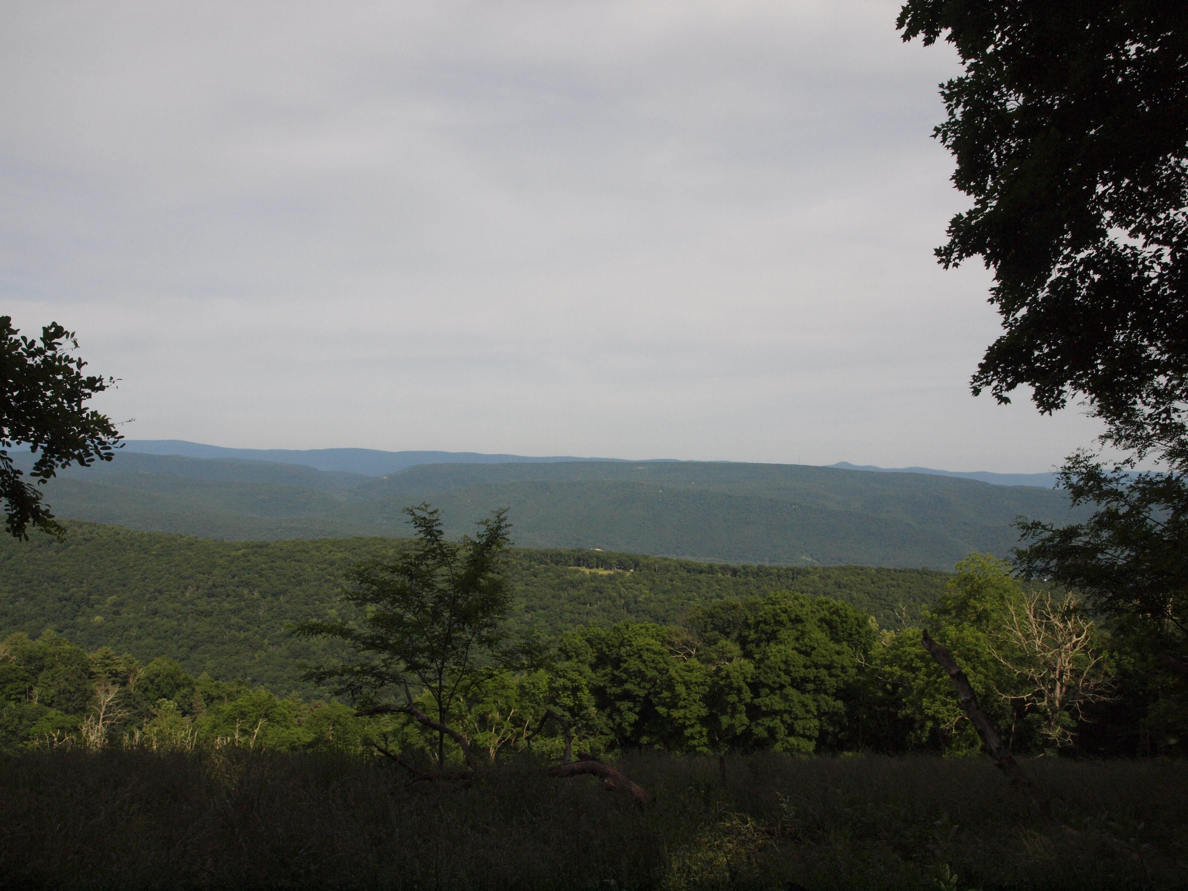 137.68 acres in Pendleton County, West Virginia