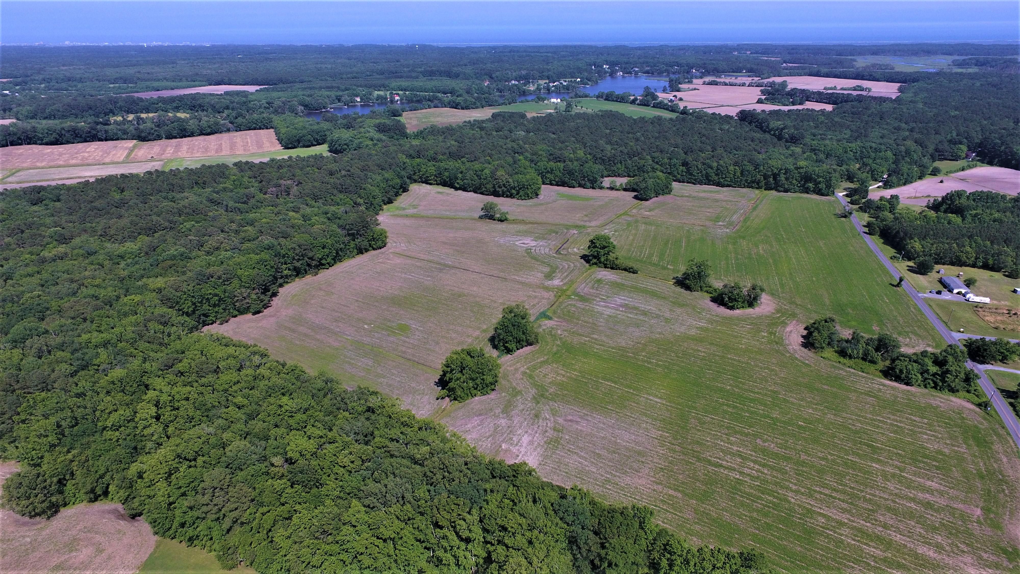 46 acres in Worcester County, Maryland