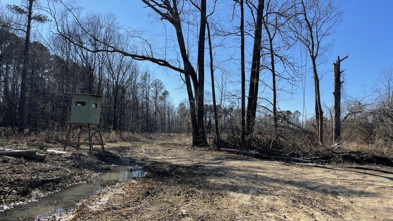 84.2 acres in Drew County, Arkansas