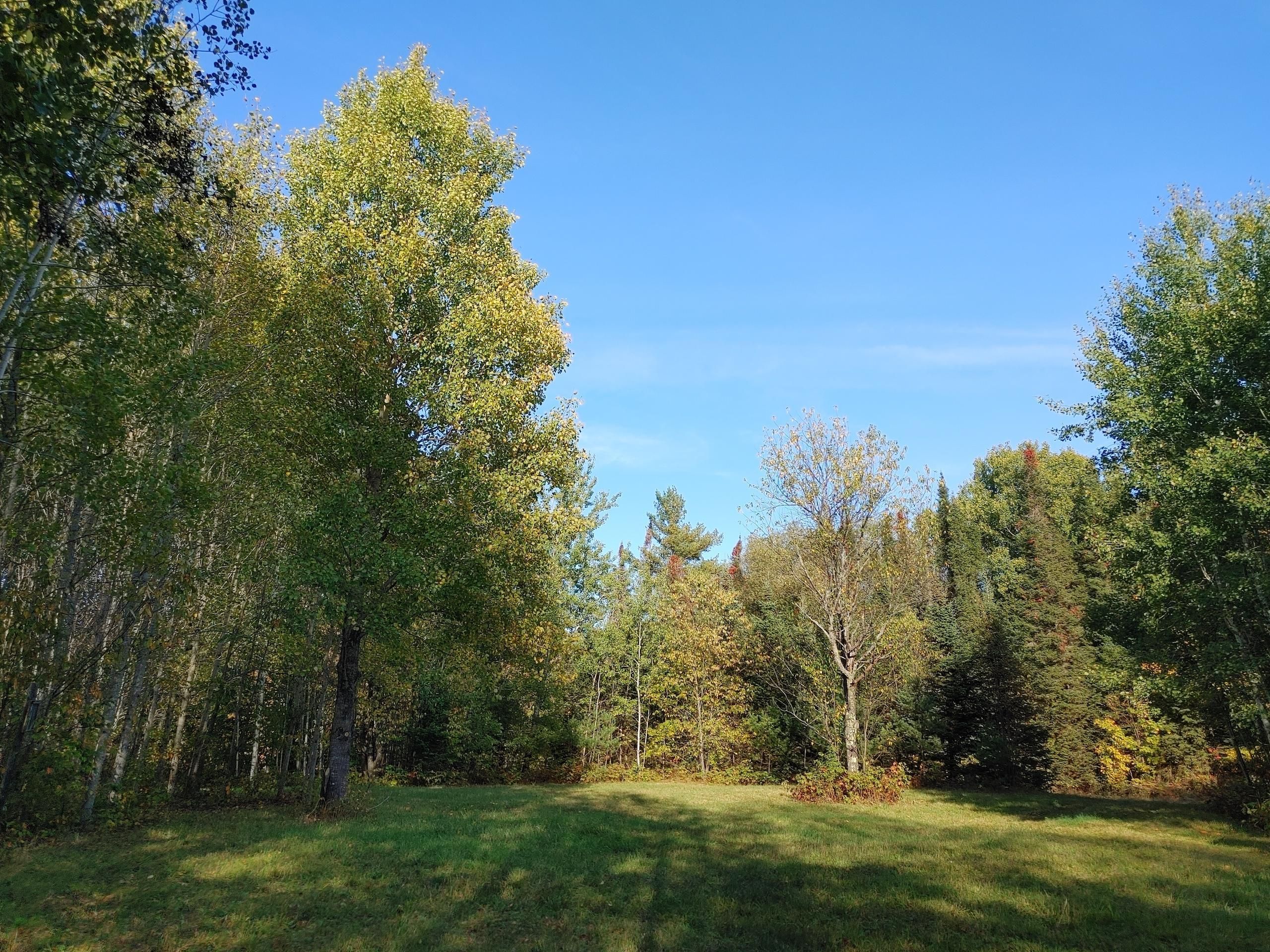 T 46 N R 1 W, Section 2, Saxon, WI 54559