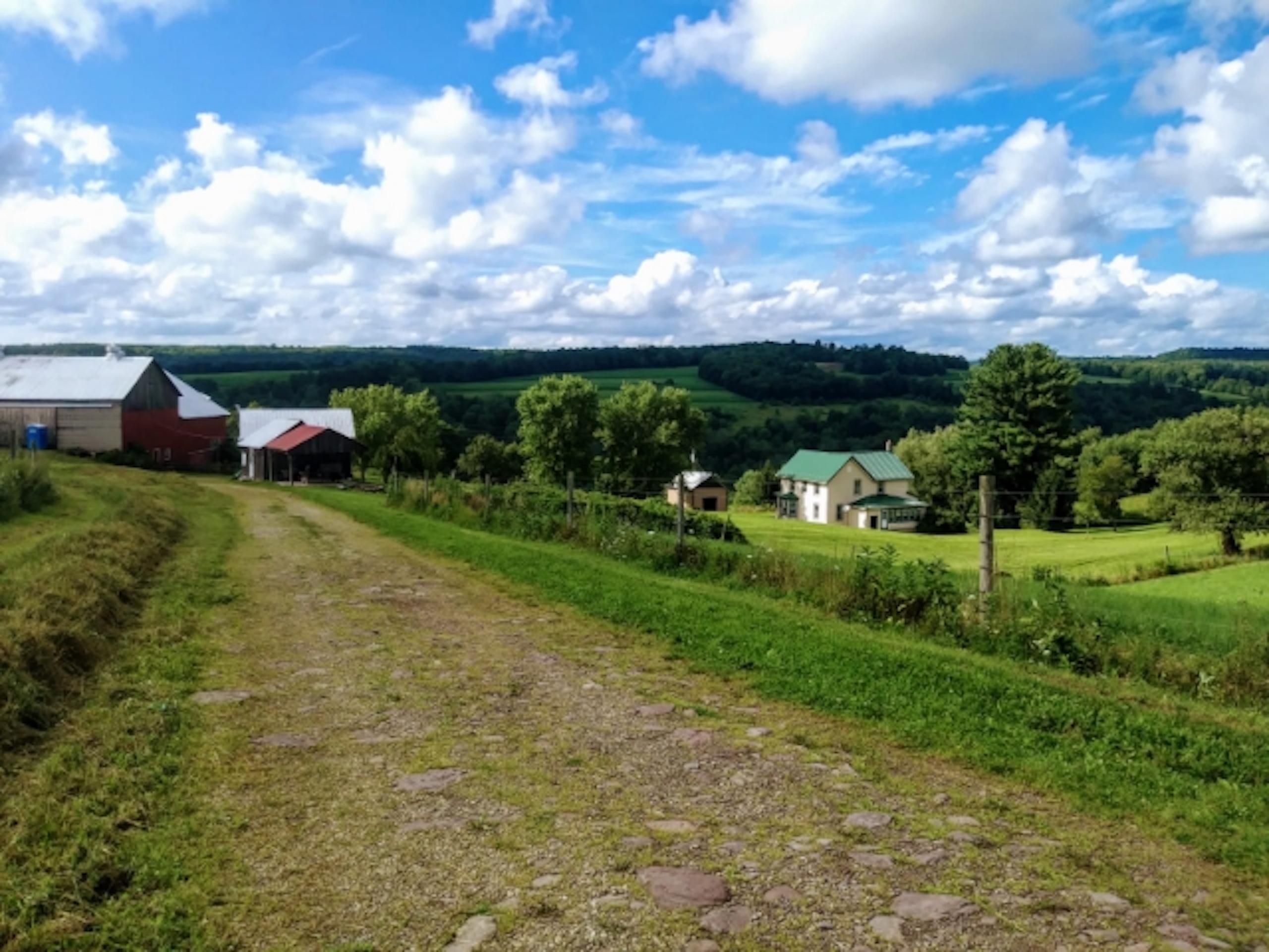 52 acres in Sullivan County, Pennsylvania