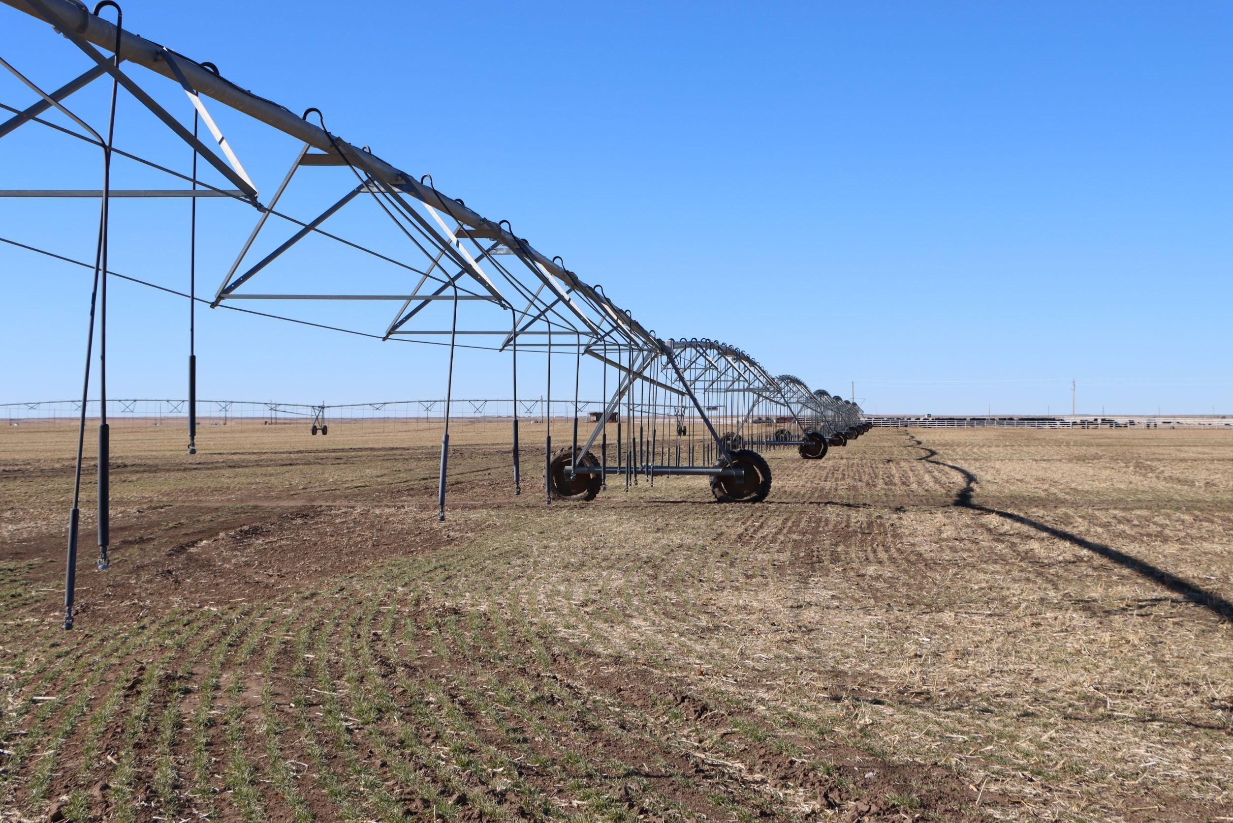 2,366 acres in Sherman County, Texas